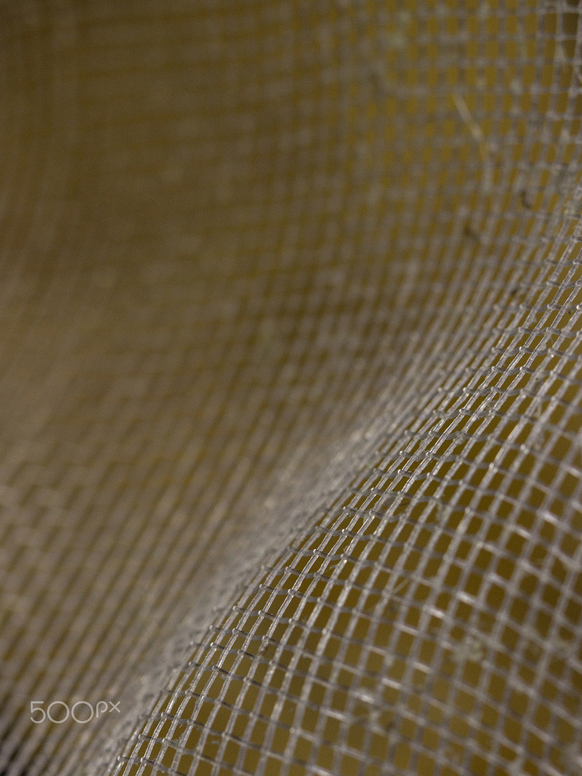 Canon EOS 600D (Rebel EOS T3i / EOS Kiss X5) + Canon EF 100mm F2.8 Macro USM sample photo. Alma de hogar photography