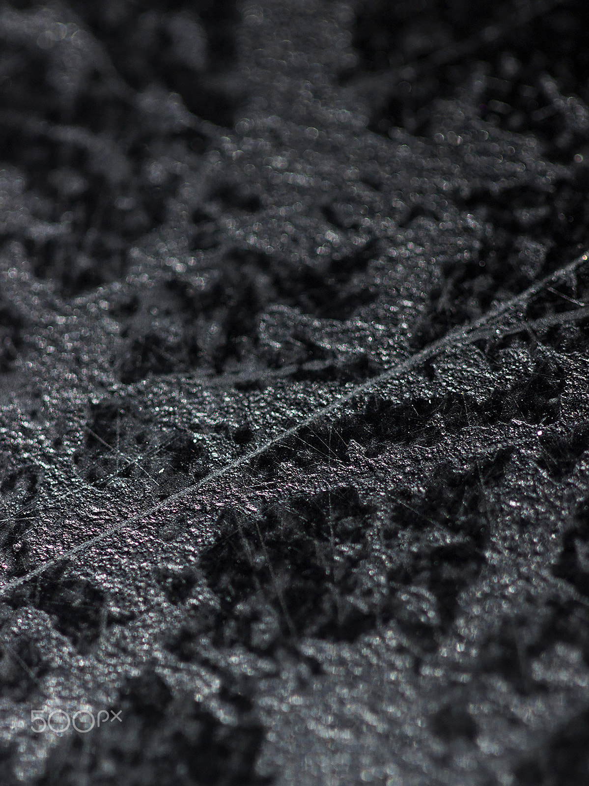 Canon EOS 600D (Rebel EOS T3i / EOS Kiss X5) + Canon EF 100mm F2.8 Macro USM sample photo. Alma de hogar photography