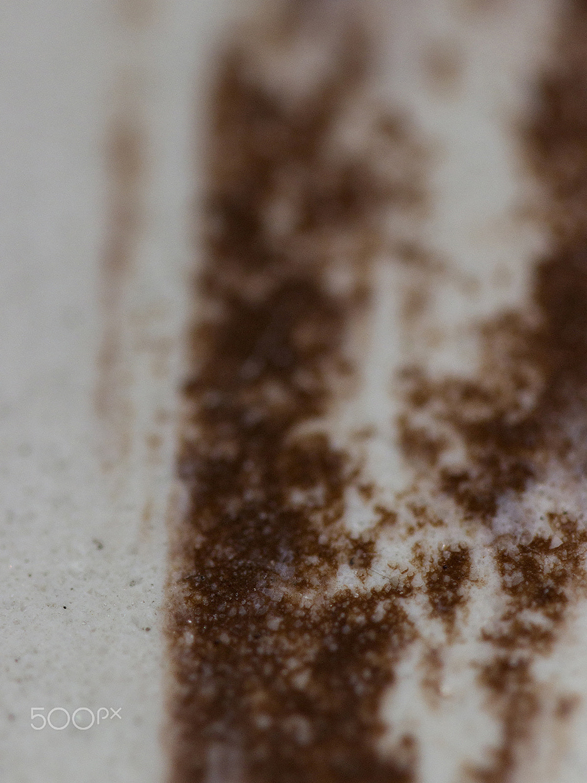 Canon EOS 600D (Rebel EOS T3i / EOS Kiss X5) + Canon EF 100mm F2.8 Macro USM sample photo. Alma de hogar photography