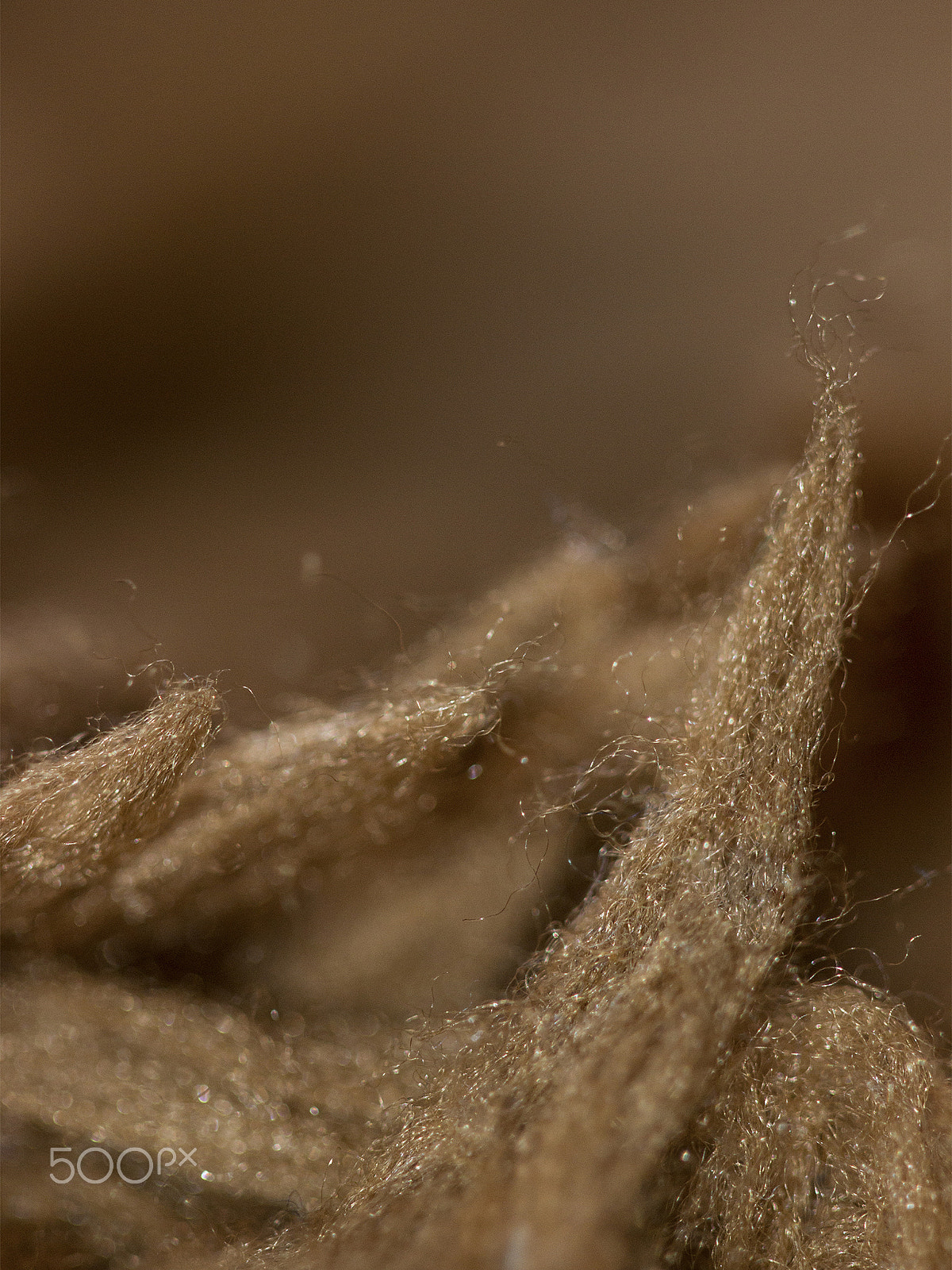 Canon EOS 600D (Rebel EOS T3i / EOS Kiss X5) + Canon EF 100mm F2.8 Macro USM sample photo. Alma de hogar photography