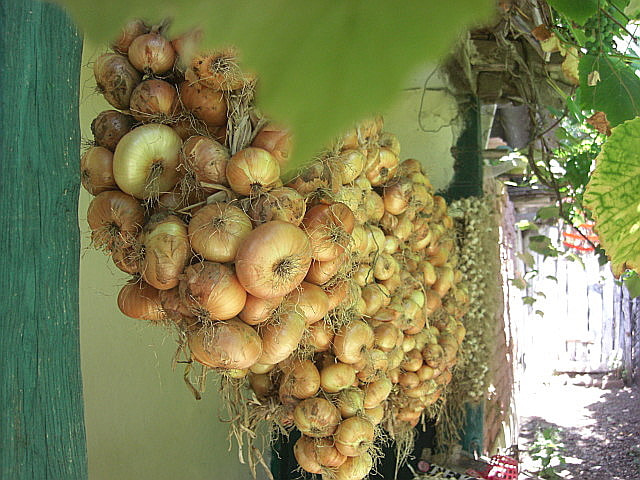 CASIO EX-Z1050 sample photo. () photography