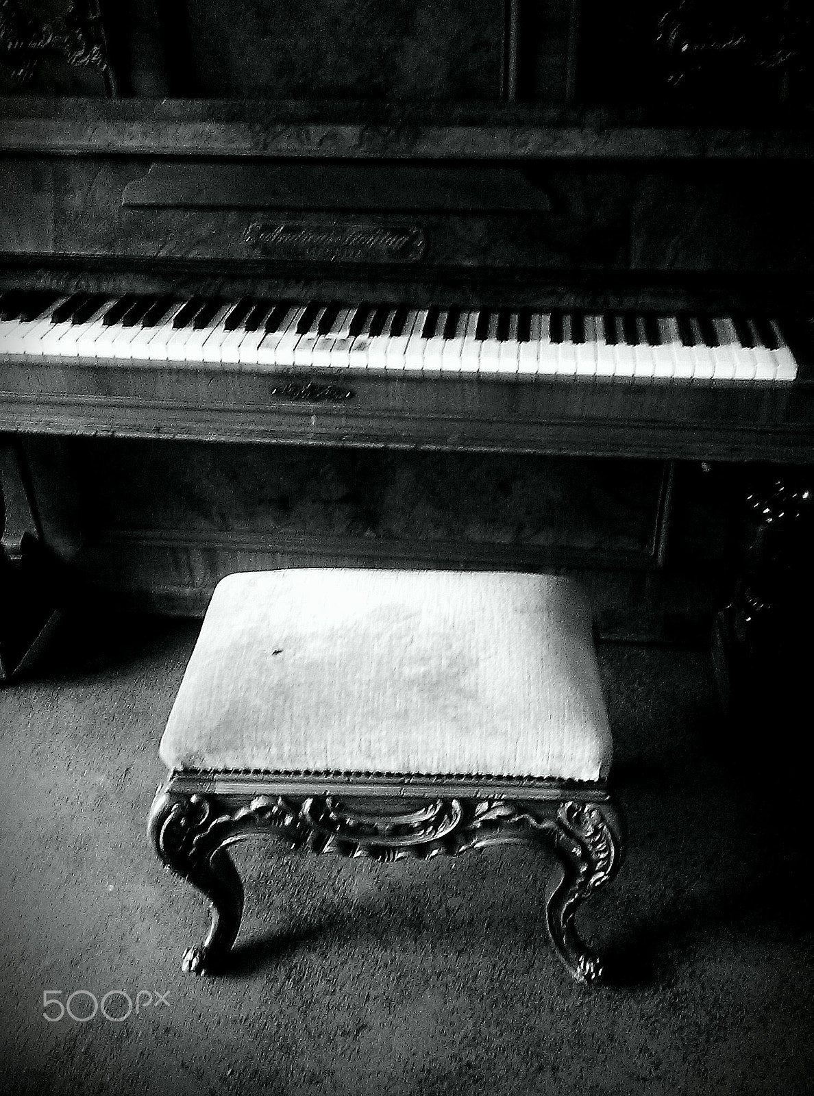 HTC ONE MINI sample photo. ...shrink session ii... photography