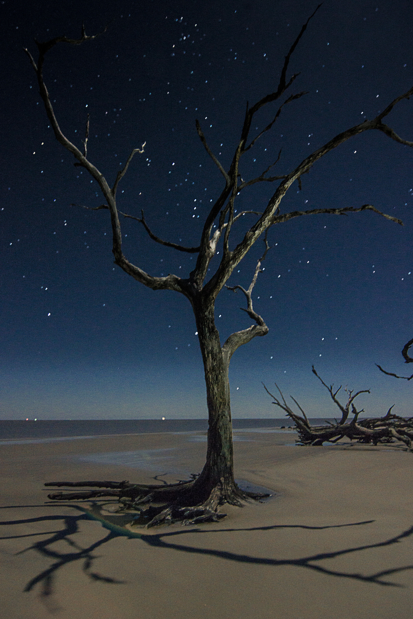 Sony SLT-A65 (SLT-A65V) + 20mm F2.8 sample photo. Jekyll island photography