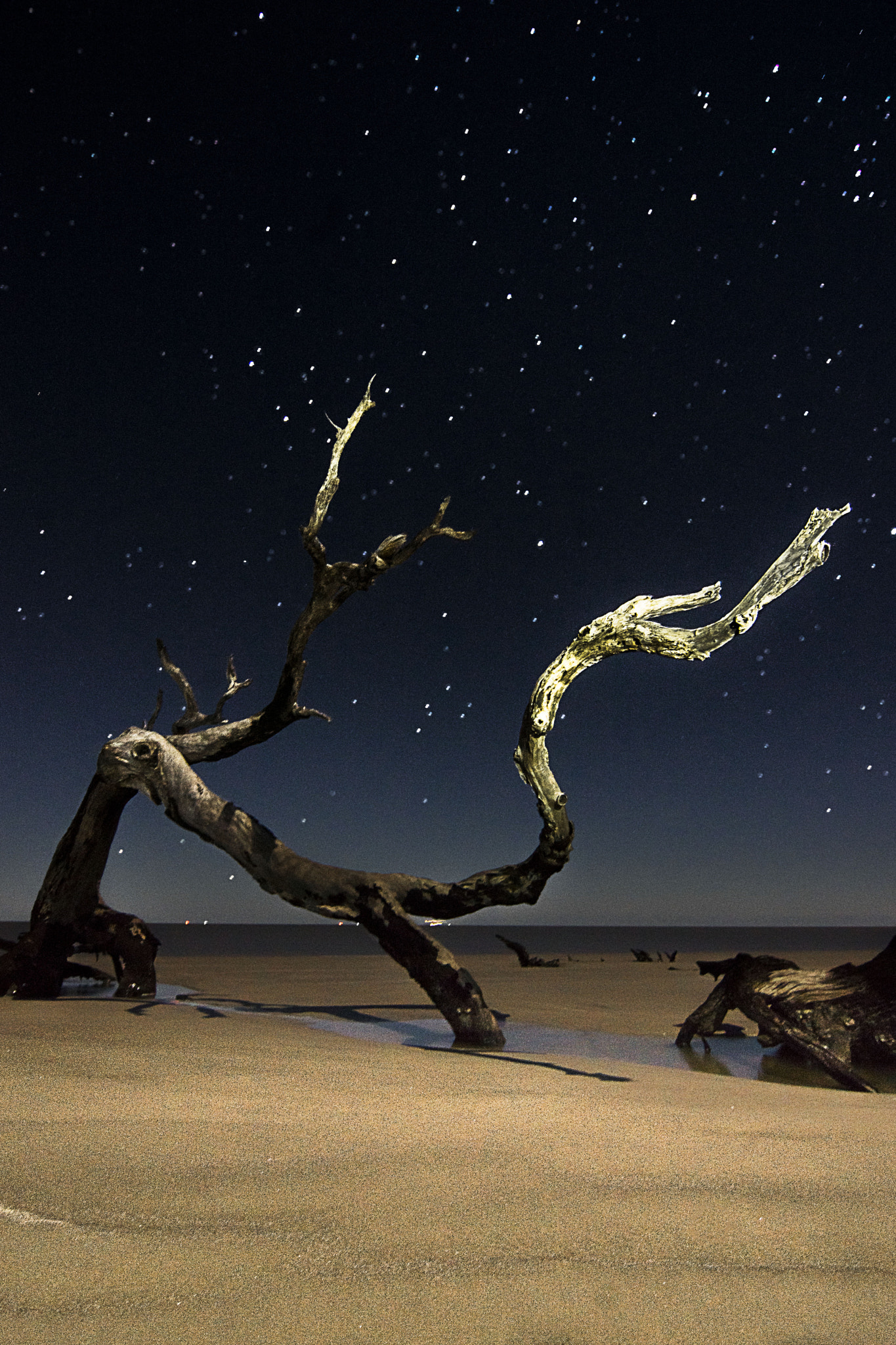 Sony SLT-A65 (SLT-A65V) + 20mm F2.8 sample photo. Jekyll island photography