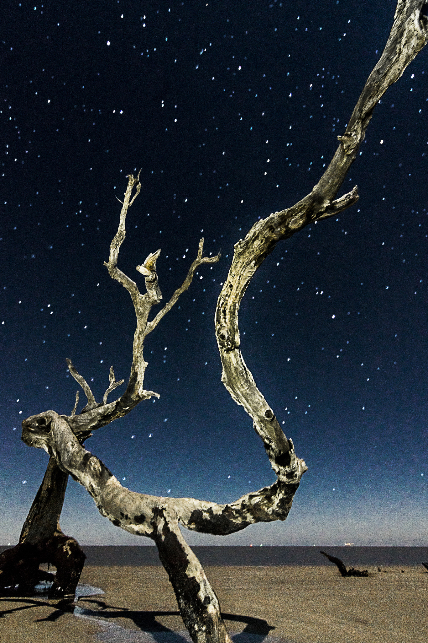 Sony SLT-A65 (SLT-A65V) + 20mm F2.8 sample photo. Jekyll island photography