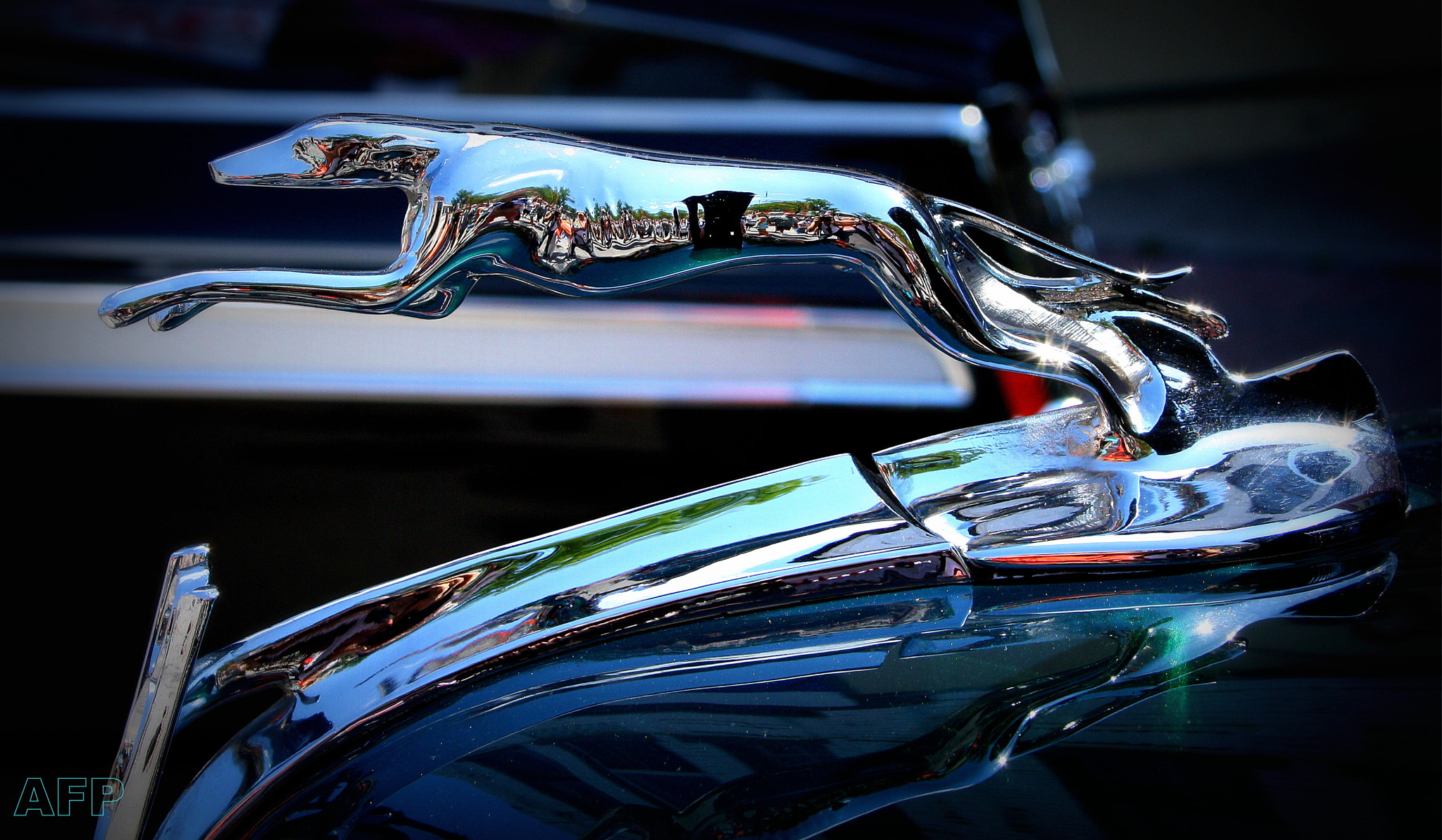 Canon EF-S 18-55mm F3.5-5.6 sample photo. Chrome hound photography