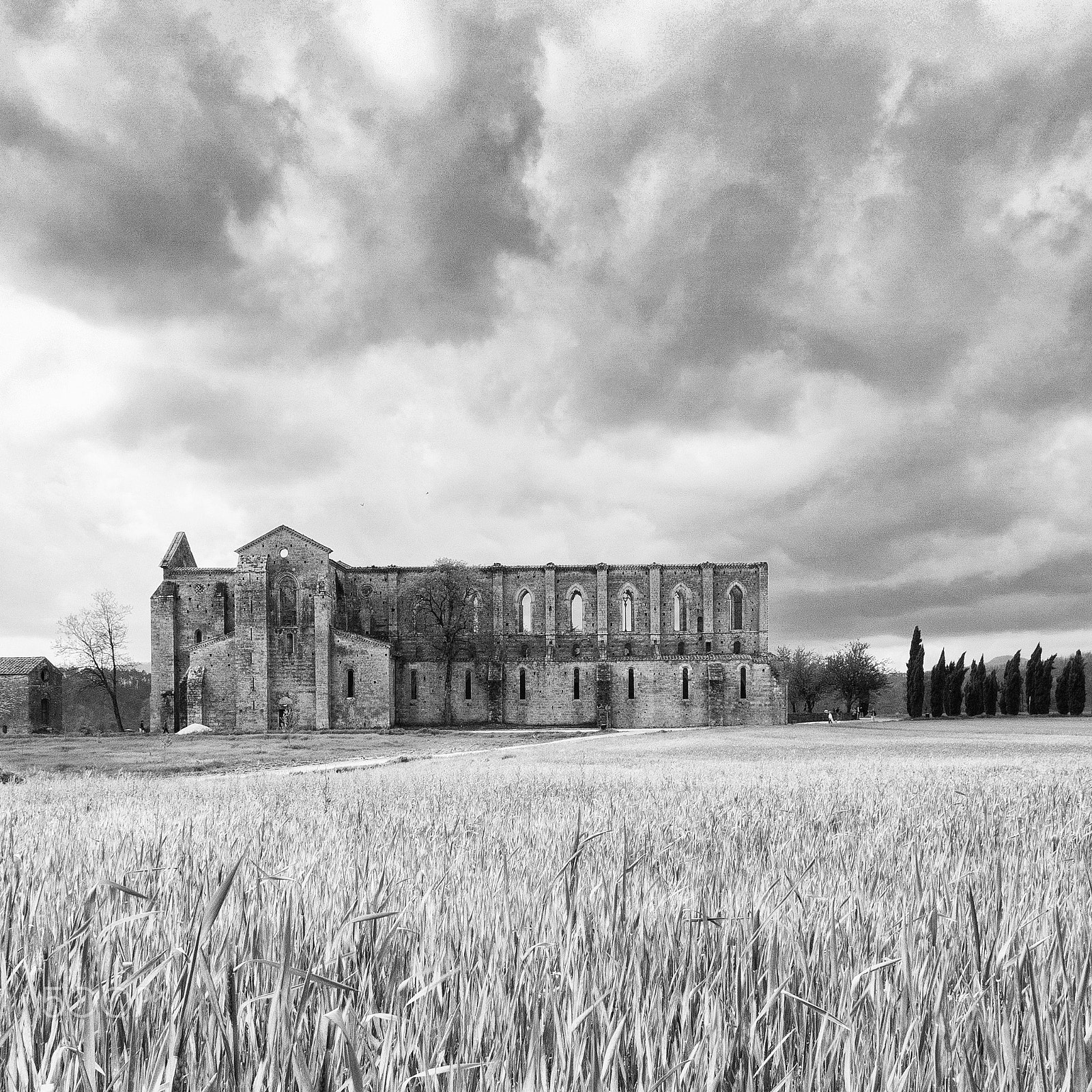 Sigma 17-70mm F2.8-4 DC Macro OS HSM sample photo. The abbey of san galgano photography