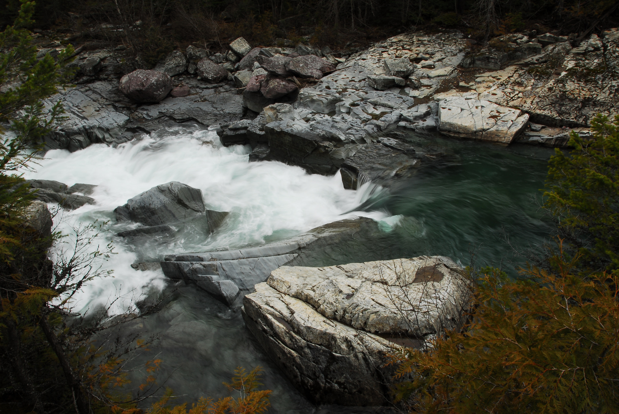 Nikon D200 sample photo. Photo photography
