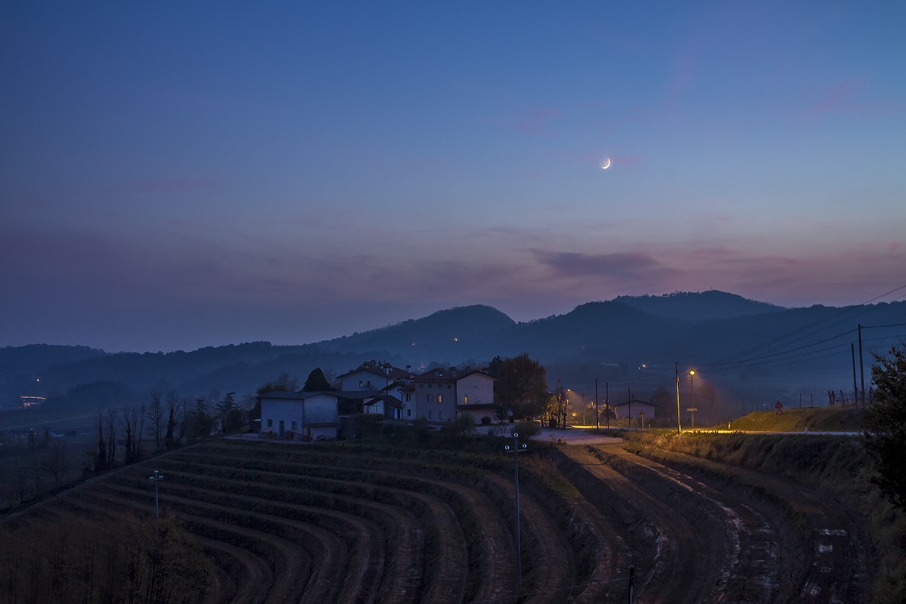 Canon EOS 700D (EOS Rebel T5i / EOS Kiss X7i) + Canon EF 500mm F4L IS USM sample photo. Vino e luna photography