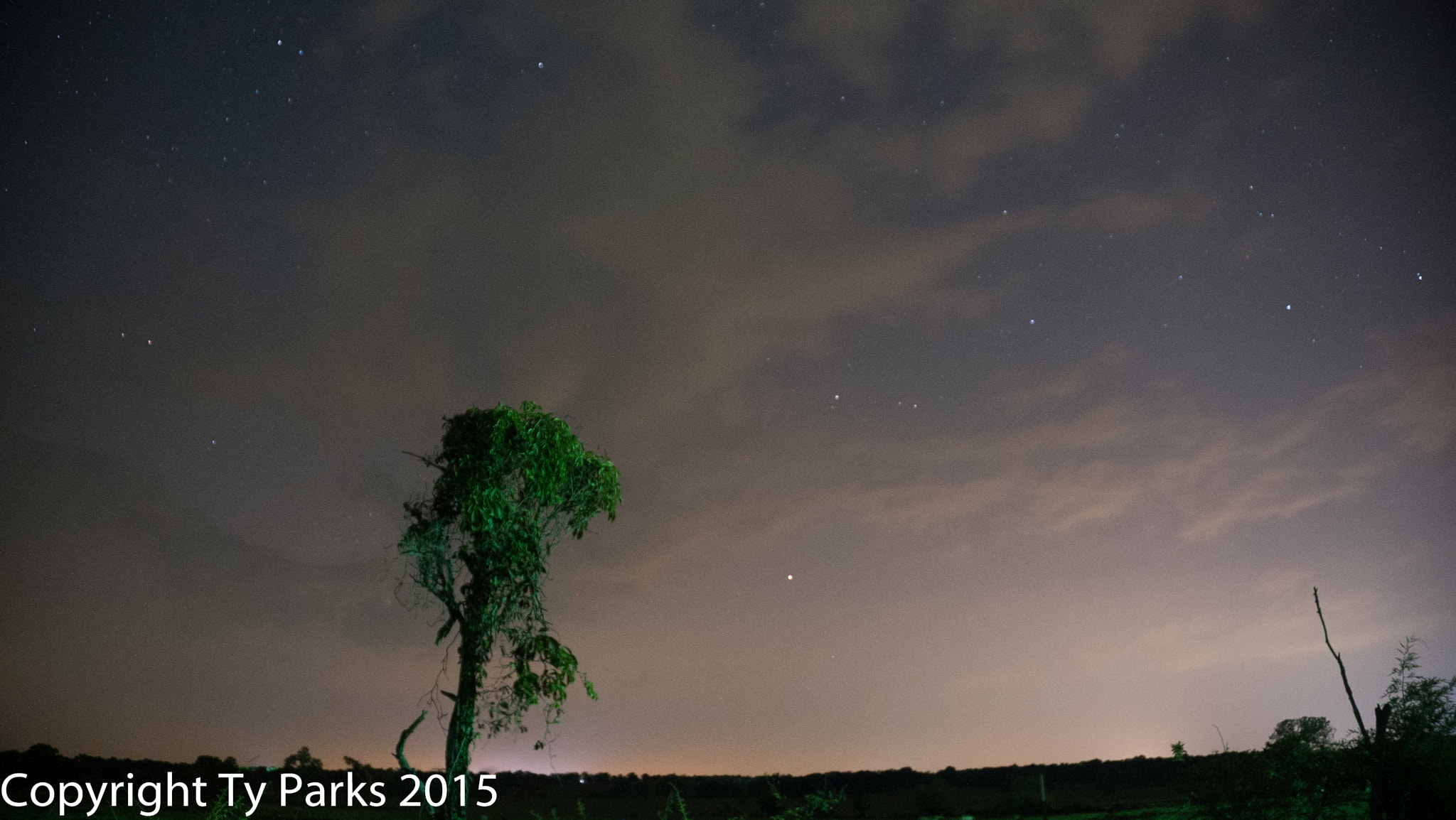 Sony a7S sample photo. The lonely tree photography