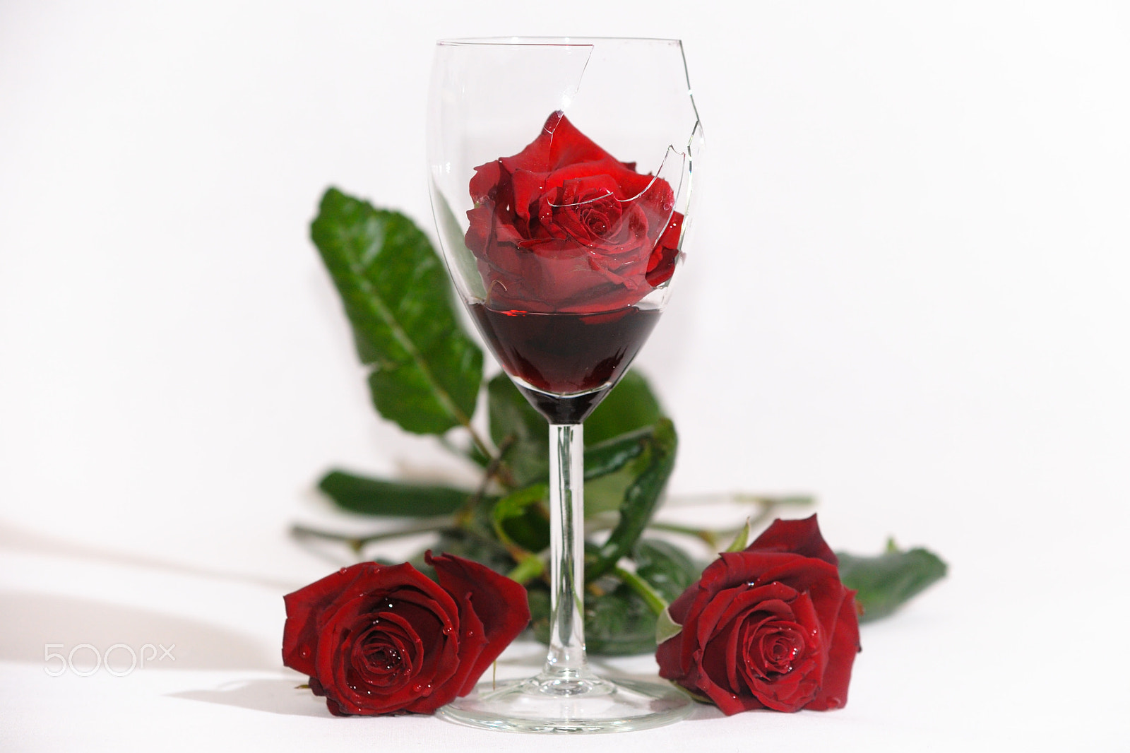 Nikon D700 + AF Zoom-Nikkor 70-210mm f/4 sample photo. A rose in wine photography