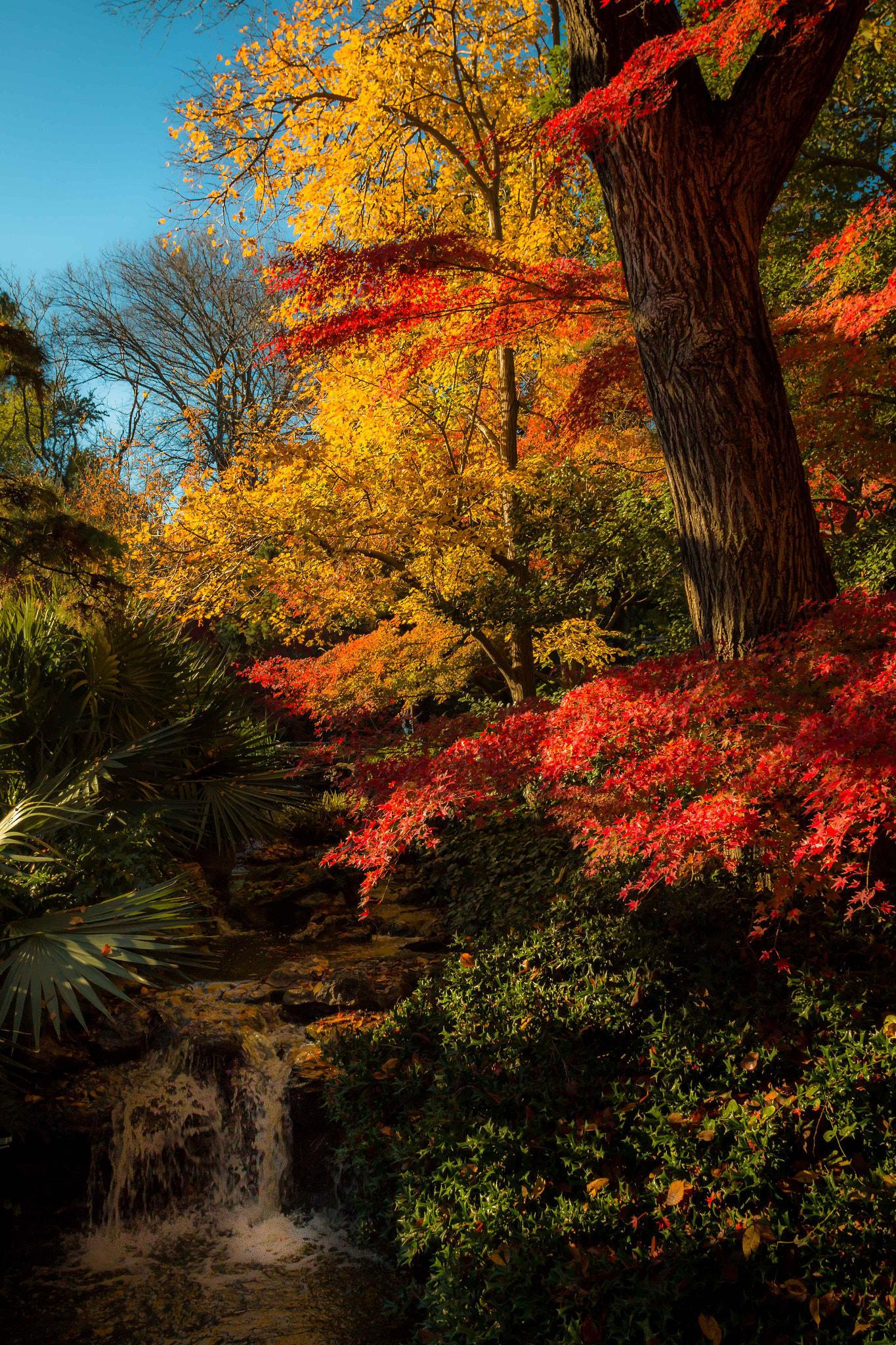 Canon EF 20mm F2.8 USM sample photo. Little stream photography