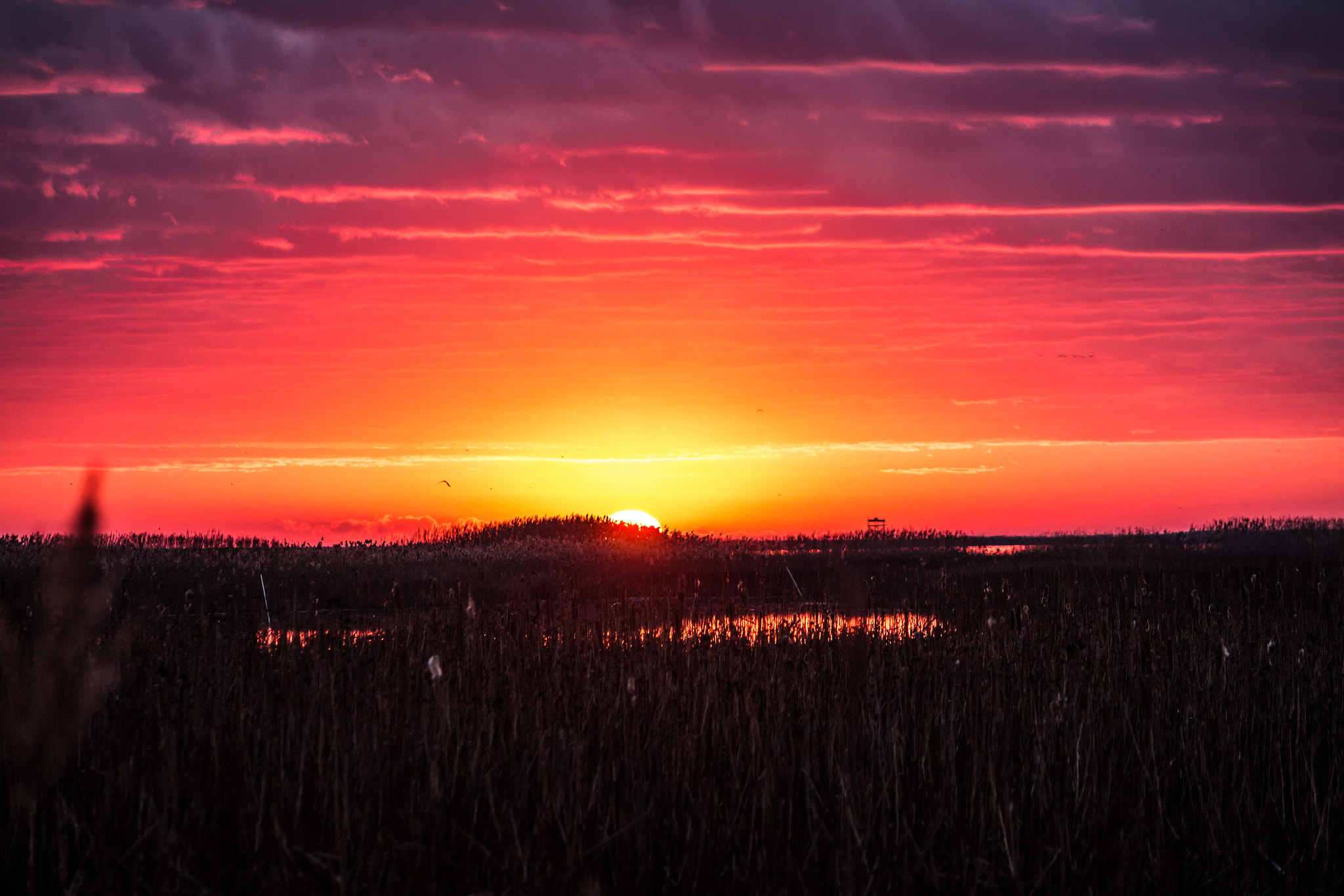 Canon EOS 650D (EOS Rebel T4i / EOS Kiss X6i) sample photo. Explosive sunrise in south jersey photography