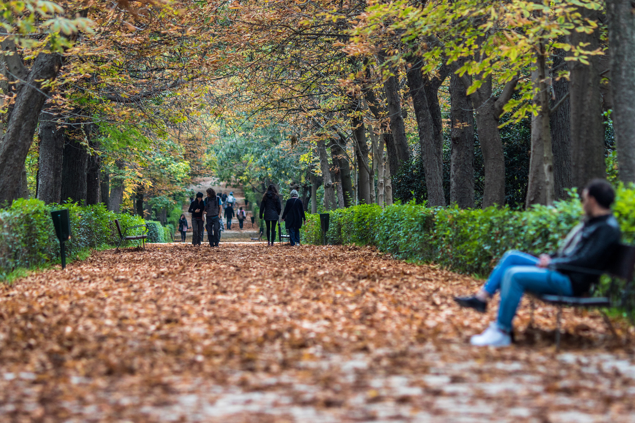 Canon EOS 7D Mark II + Canon EF 135mm F2L USM sample photo. 20151101 autumn in parque del retiro, madrid, españa photography