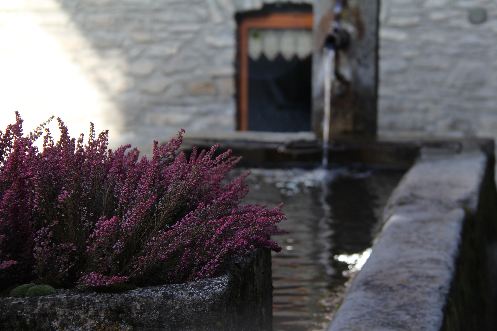 Canon EF-S 18-200mm F3.5-5.6 IS sample photo. Verrand photography