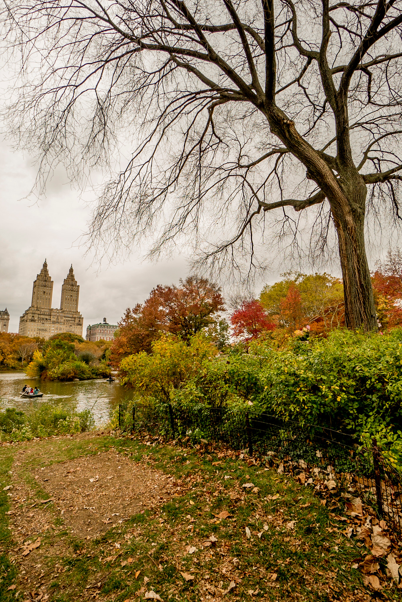 Sony a7S + Sony E 10-18mm F4 OSS sample photo. Central park photography