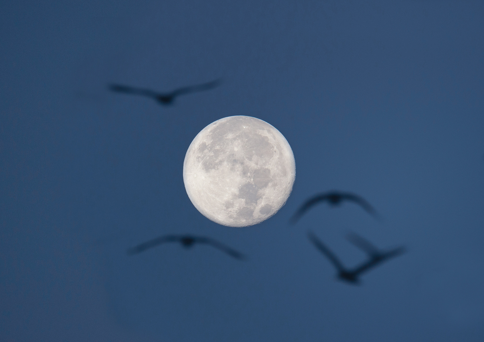Nikon D4S sample photo. Full moon photography