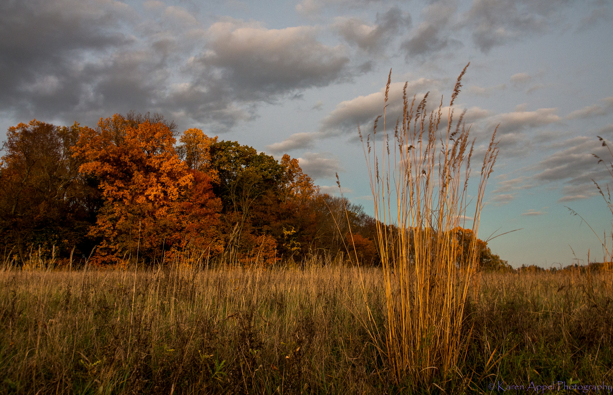 Pentax K-5 IIs sample photo. Colors of fall photography