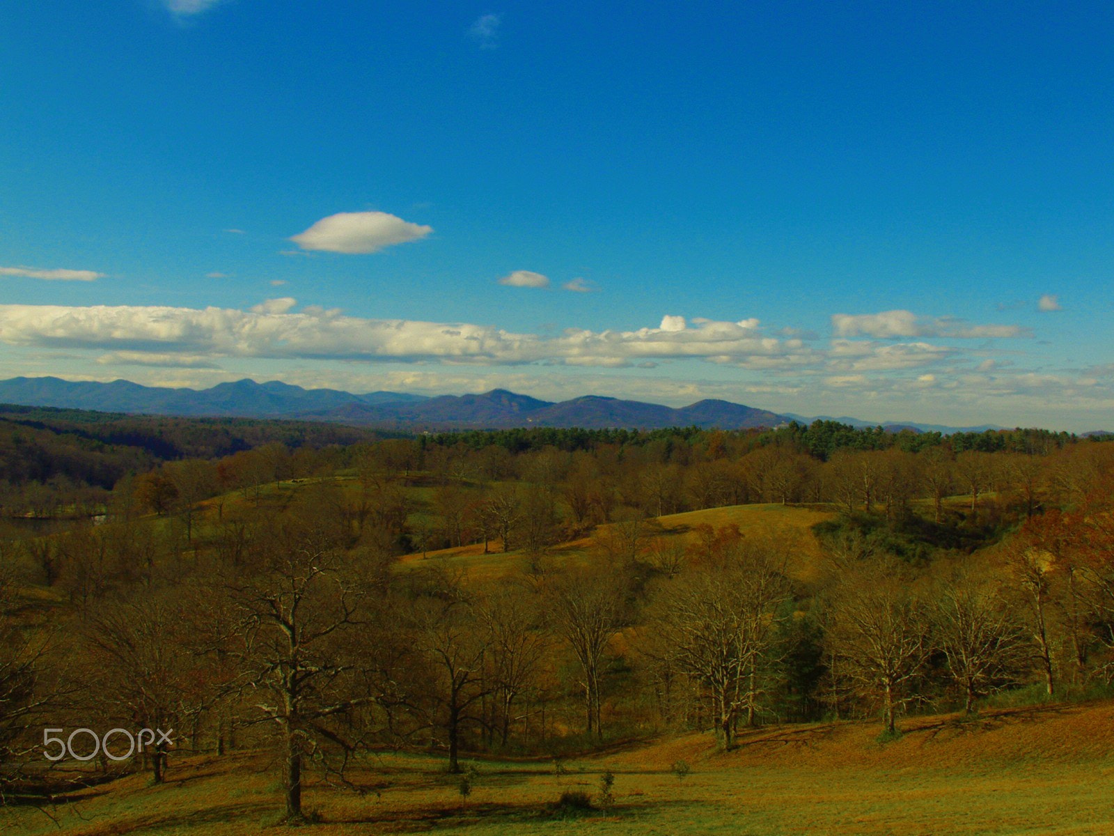 Olympus E-10 sample photo. View from biltmore house photography