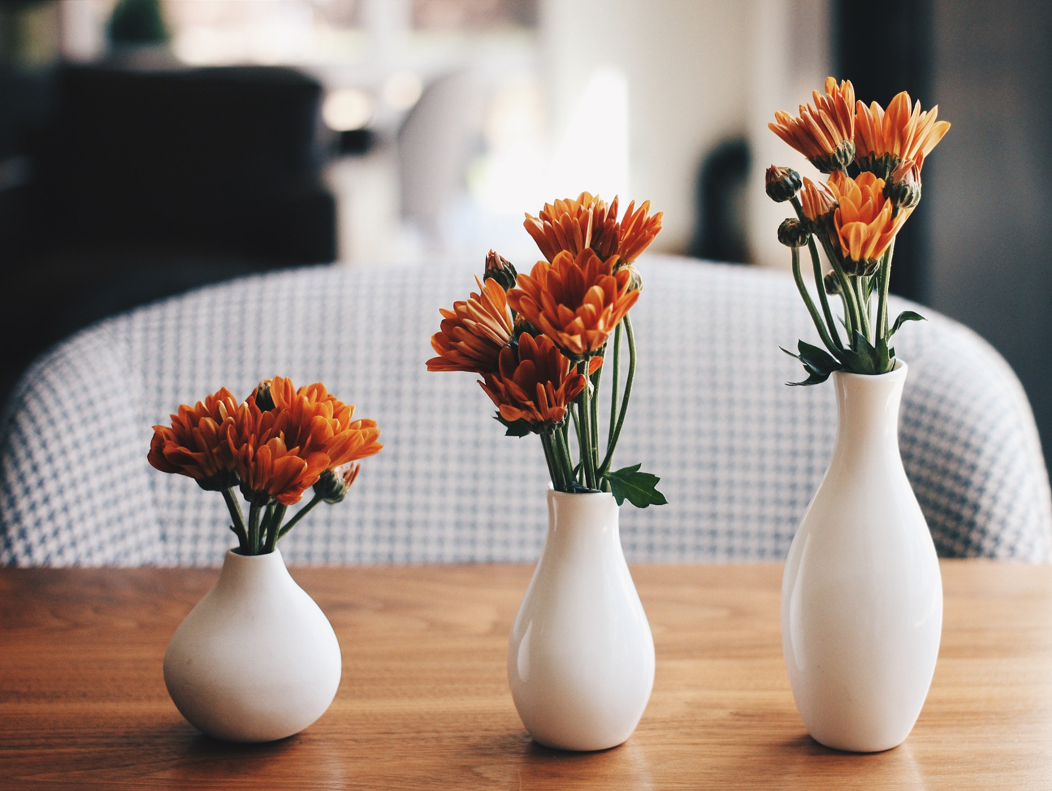 Canon EF 40mm F2.8 STM sample photo