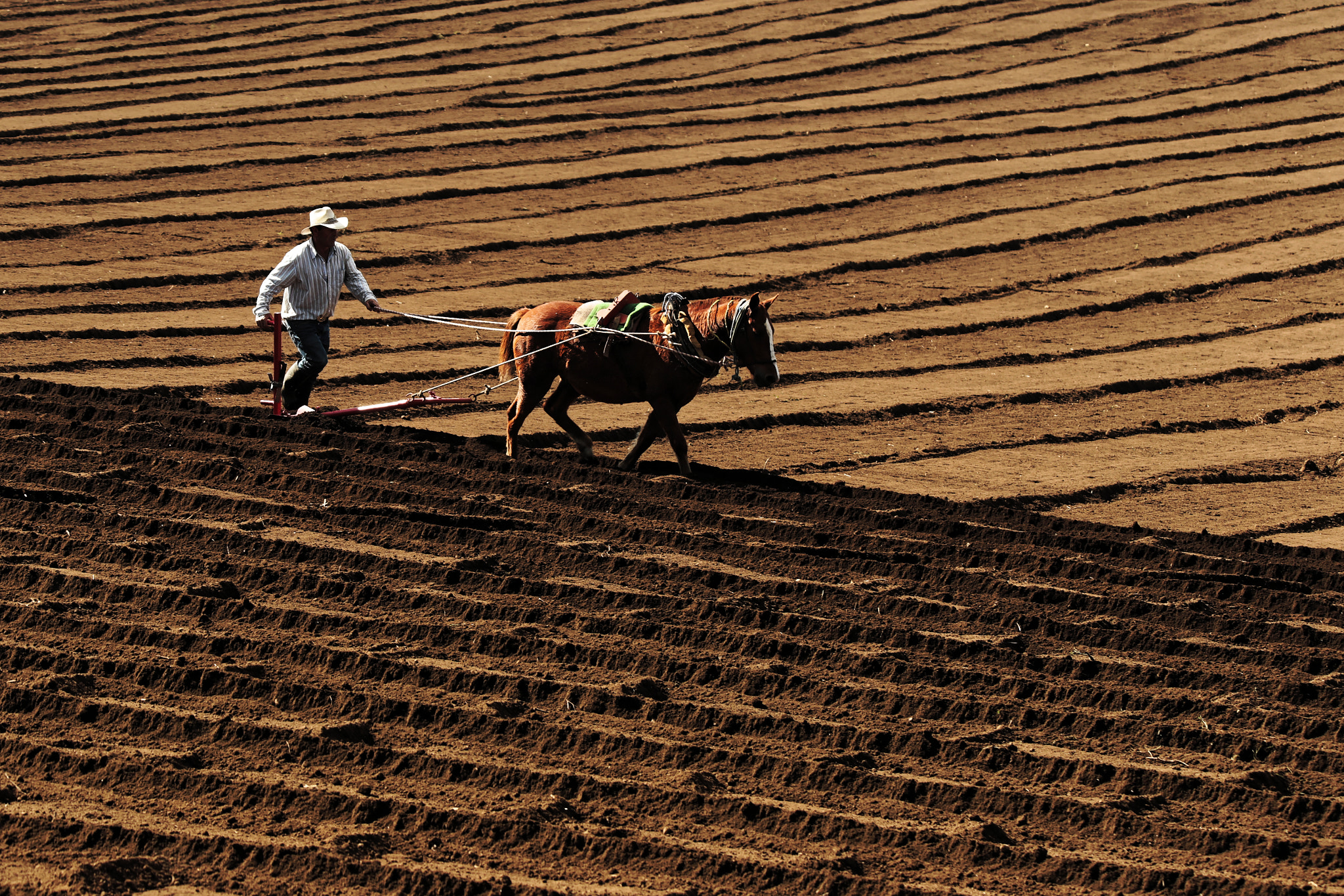 Canon EOS 6D + Tamron SP 150-600mm F5-6.3 Di VC USD sample photo. Potato fields forever photography