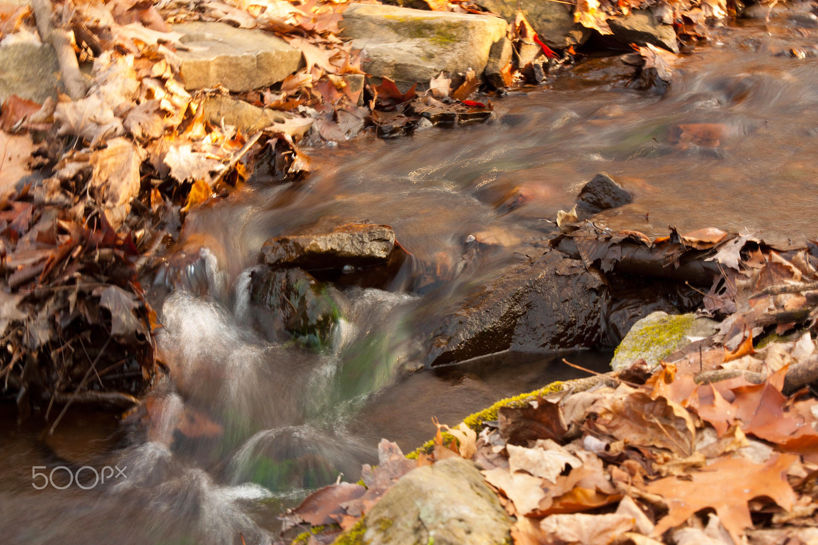 Sigma 18-50mm F2.8-4.5 DC OS HSM sample photo. Swift stream photography