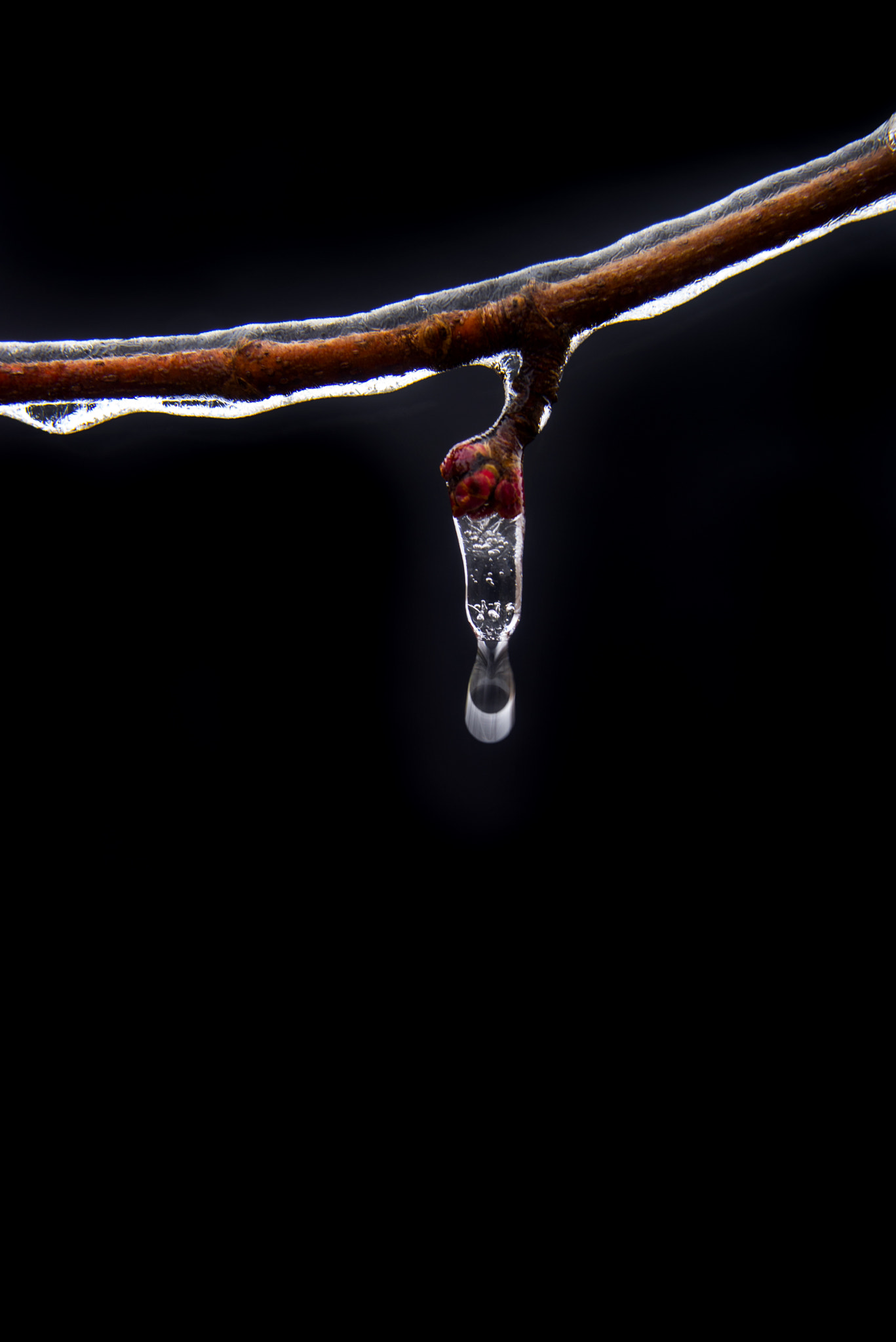 Nikon D610 + AF Zoom-Nikkor 28-80mm f/3.5-5.6D sample photo. Ice drop from branch photography