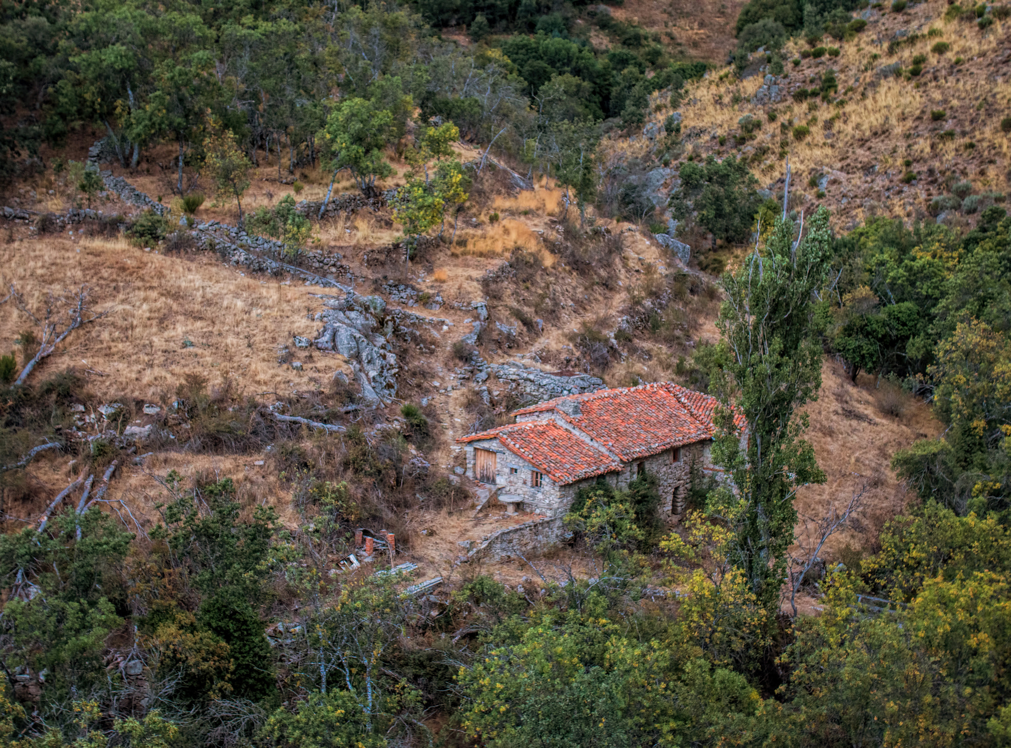 Sigma 18-50mm F2.8-4.5 DC OS HSM sample photo. Old mill photography