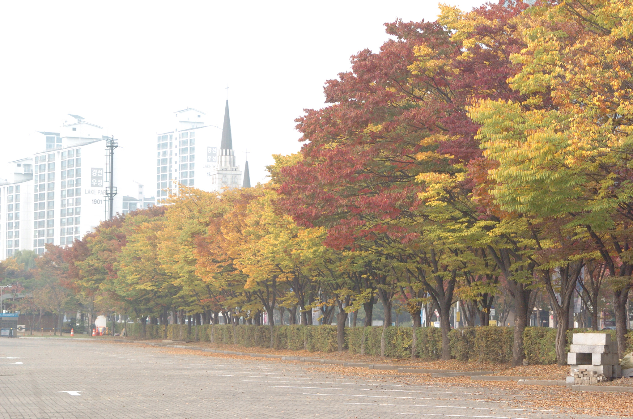 Nikon D2H sample photo. Park photography