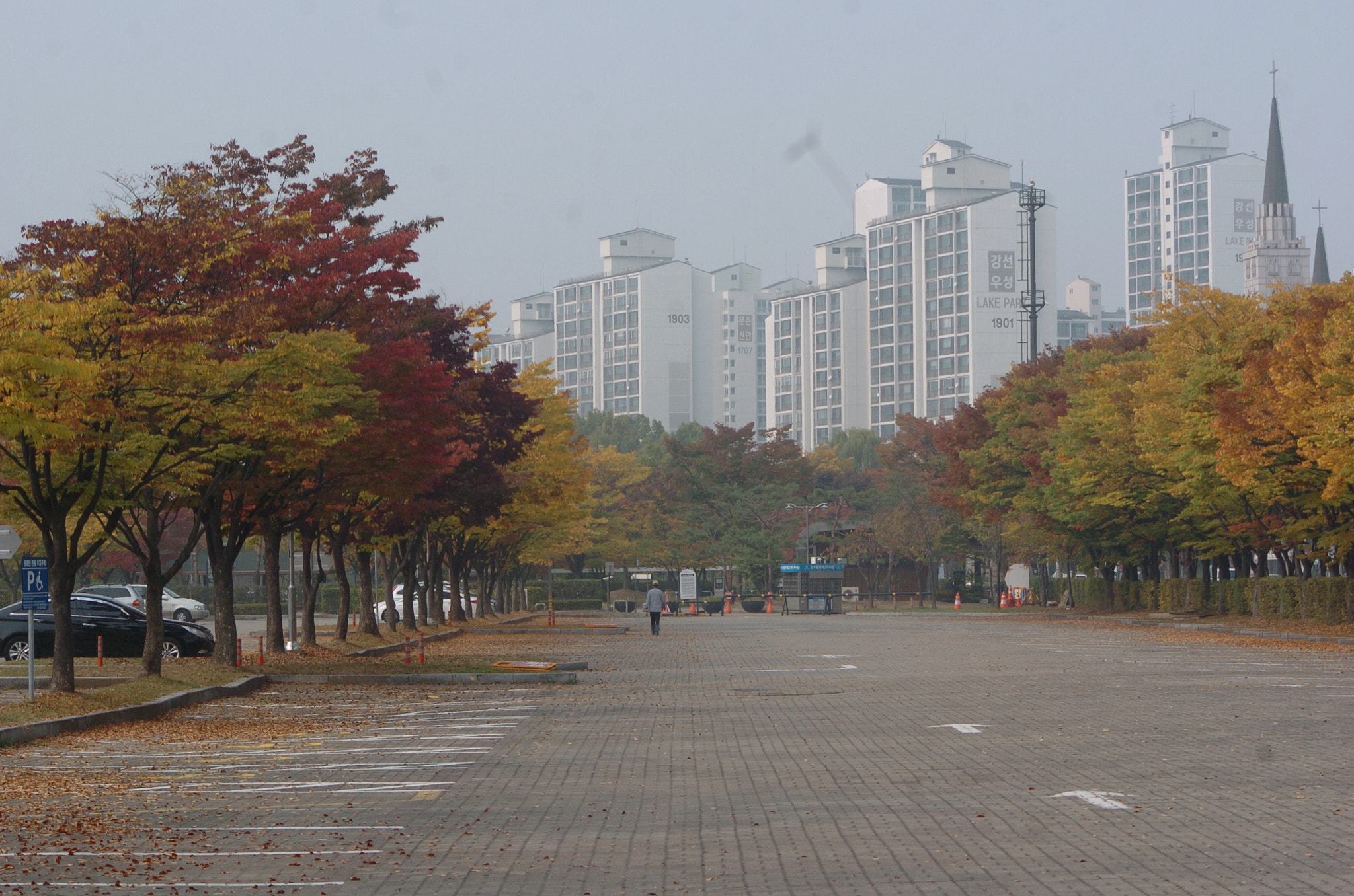 Nikon D2H sample photo. Park photography