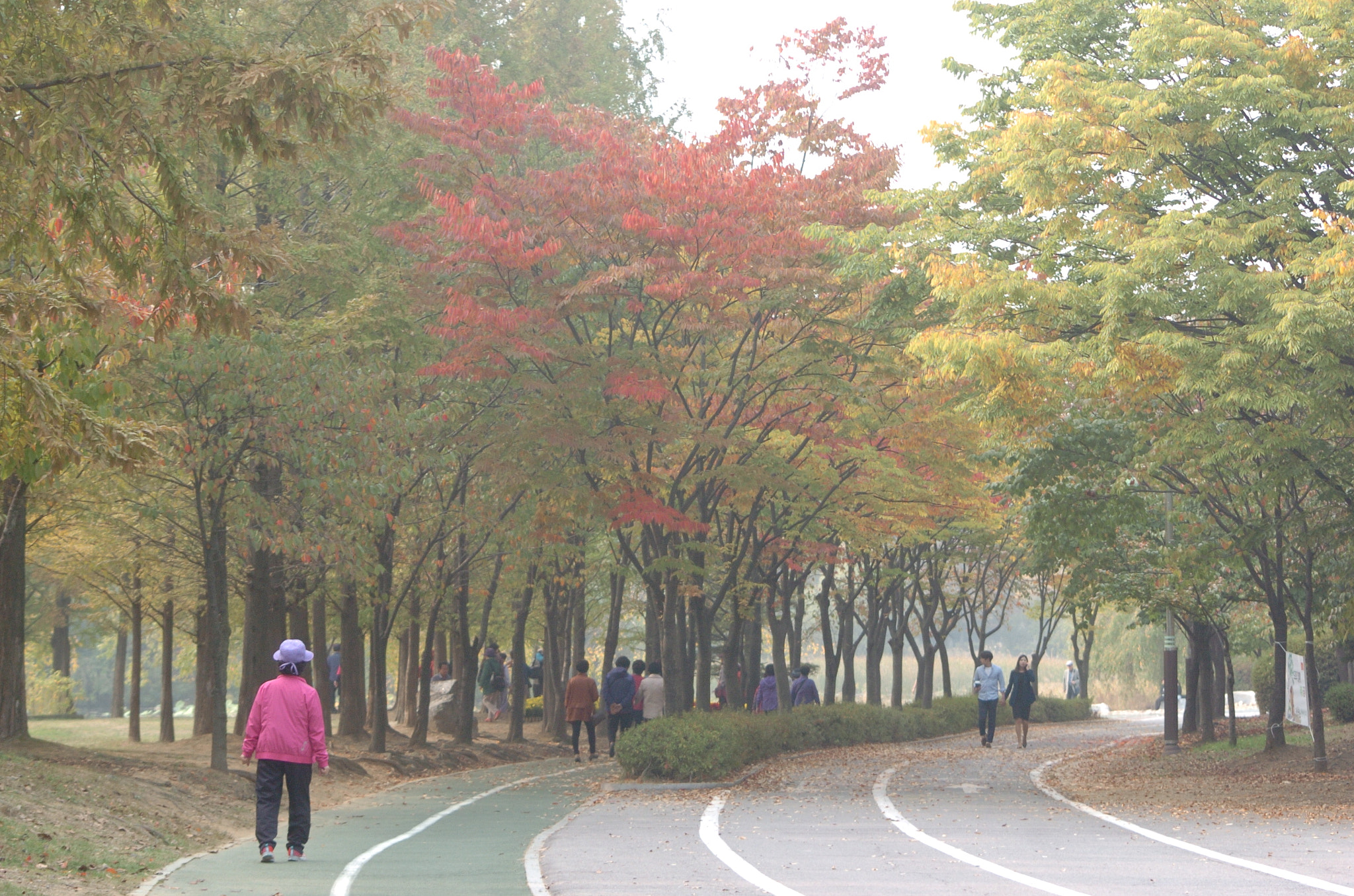 Nikon D2H sample photo. Park photography