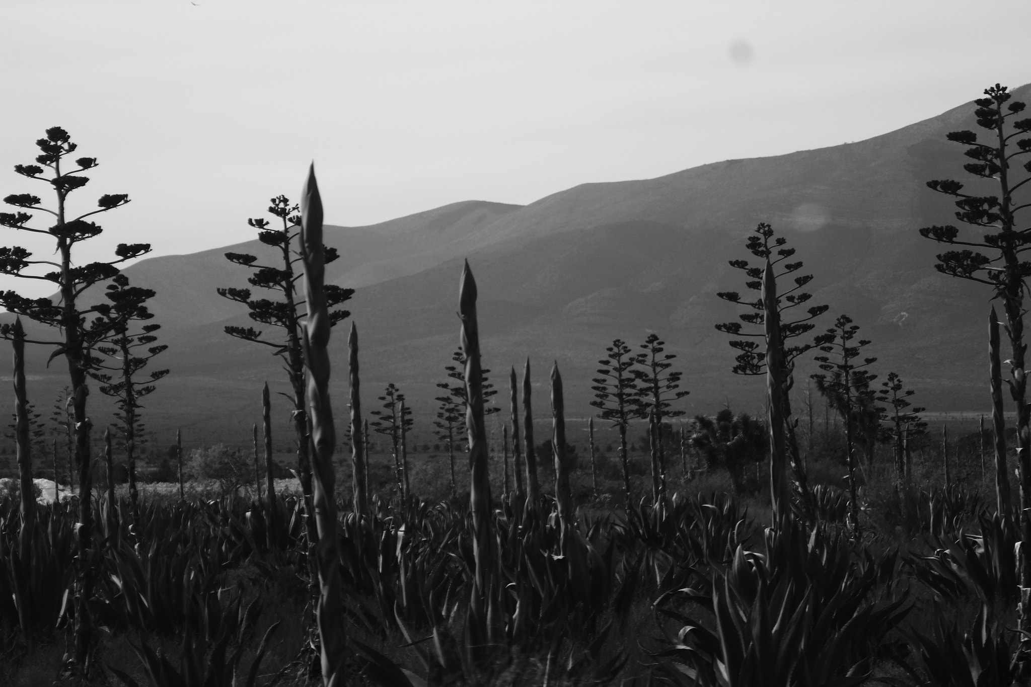 Canon EF 35-80mm f/4-5.6 sample photo. Tranquilidad photography