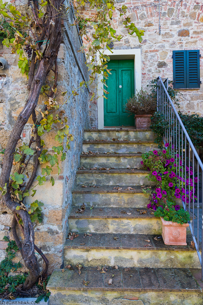 Canon TS-E 24.0mm f/3.5 L II sample photo. Stairs photography