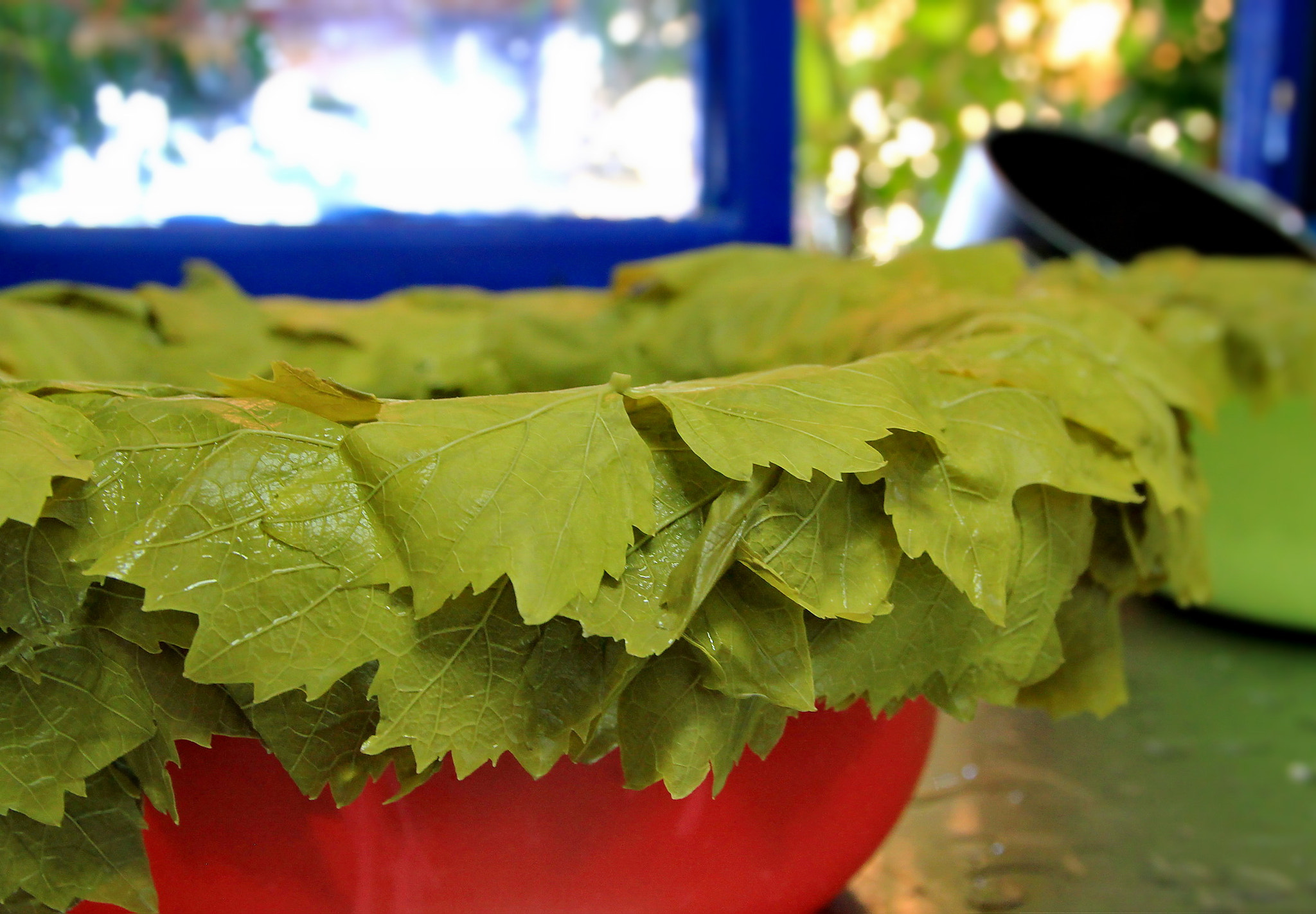 Sigma 17-70mm F2.8-4 DC Macro OS HSM sample photo. Creation dolmadakya photography