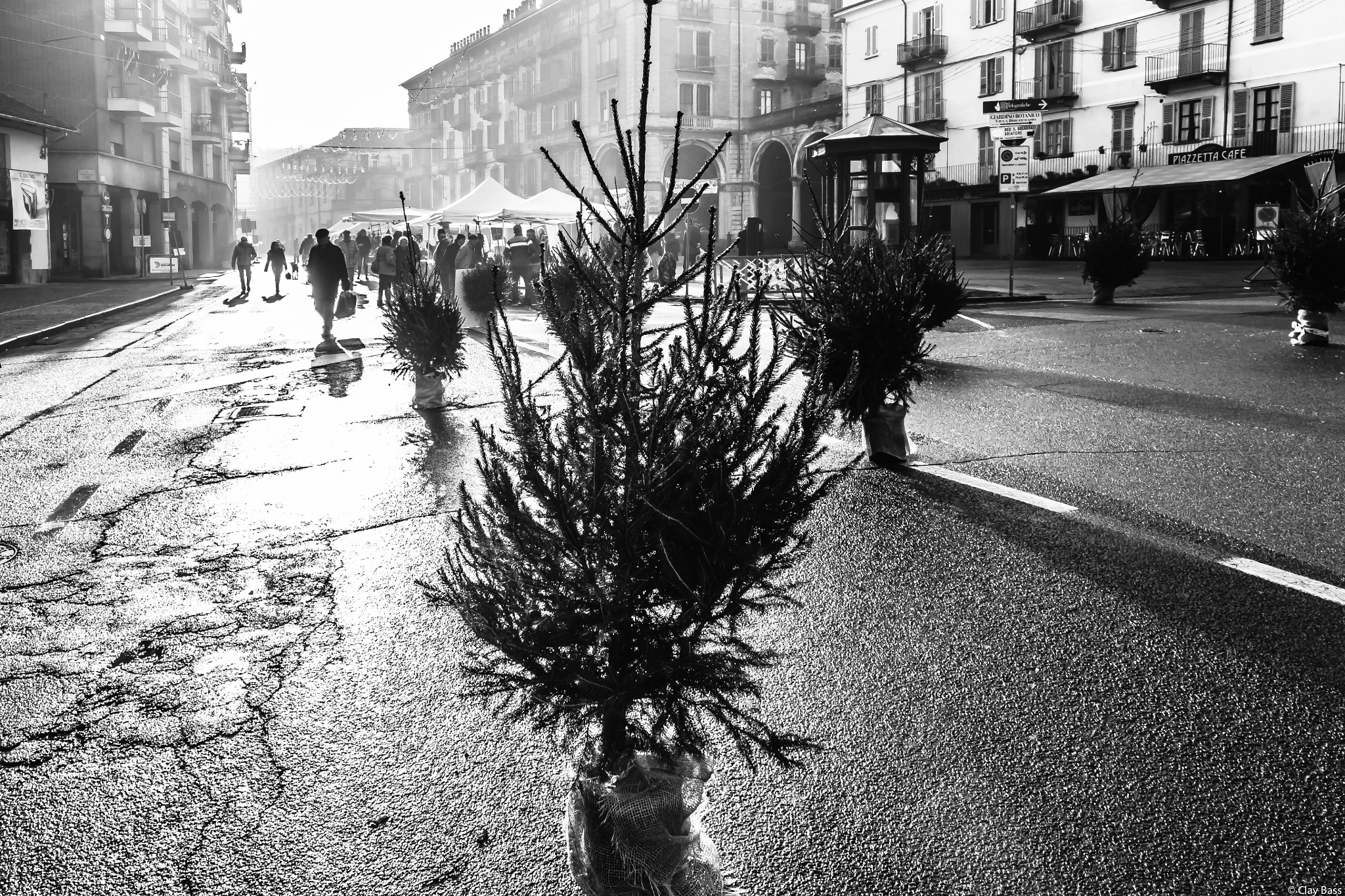 Canon EF 24-105mm F3.5-5.6 IS STM sample photo. Natale 2015: slalom tra gli alberi photography