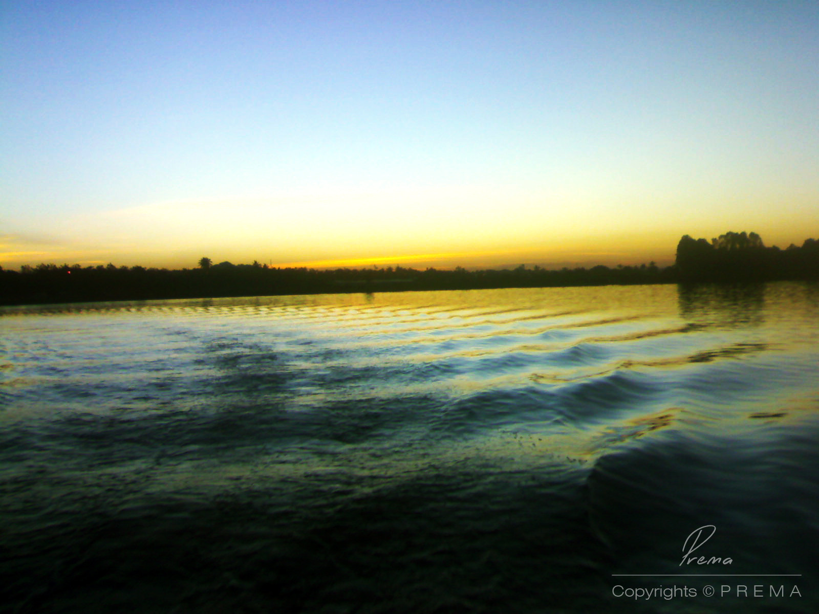 Nokia N72 sample photo. The gold touch photography