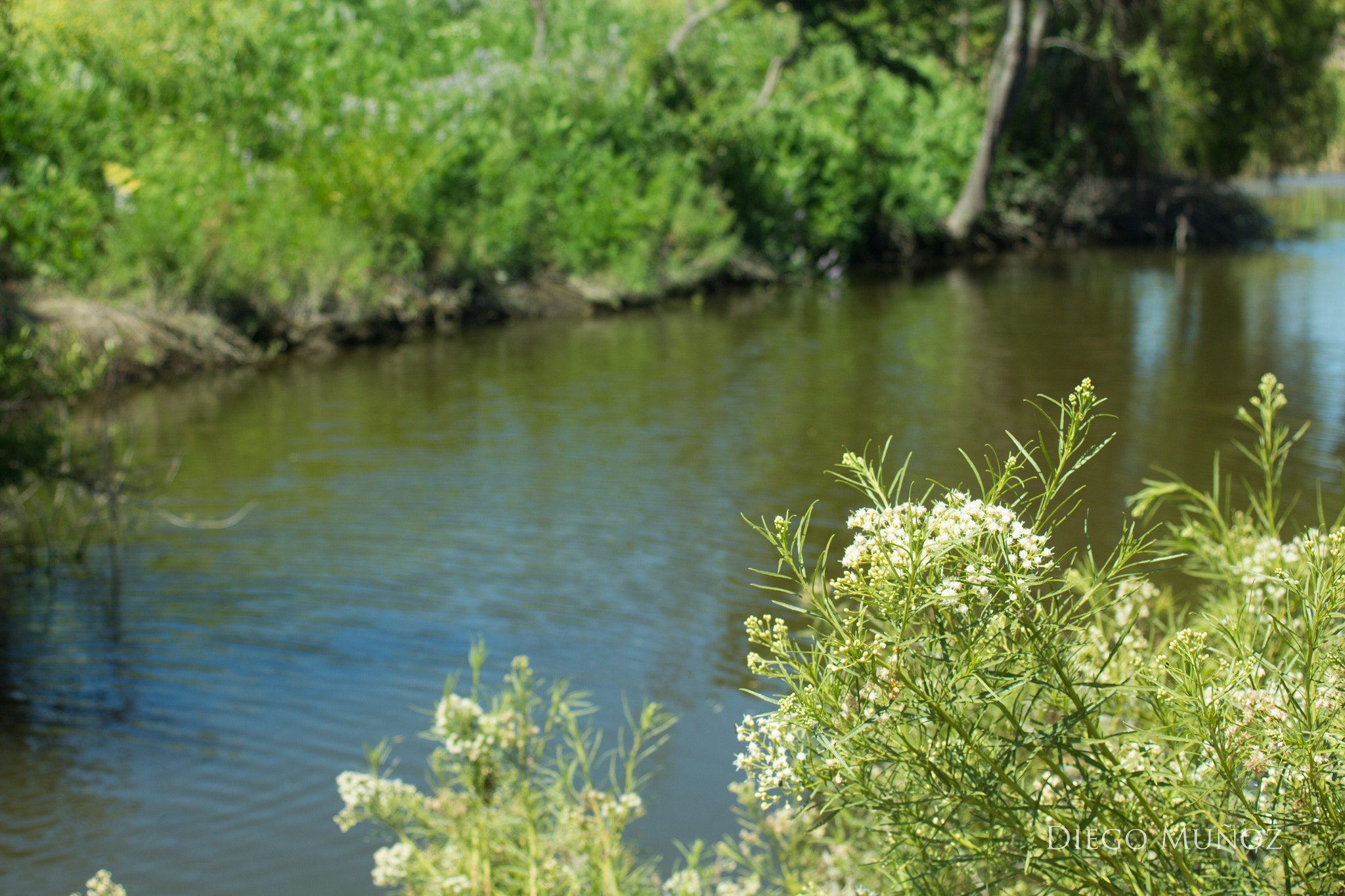 Canon EF 35-80mm f/4-5.6 sample photo. Lago photography