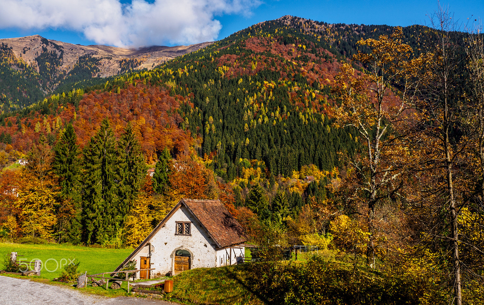Olympus OM-D E-M10 sample photo. House in the wood photography