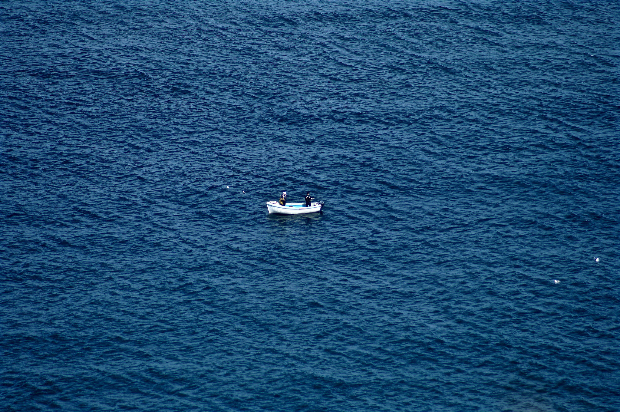 Minolta AF 70-210mm F4.5-5.6 [II] sample photo. Dsc00182.jpg photography