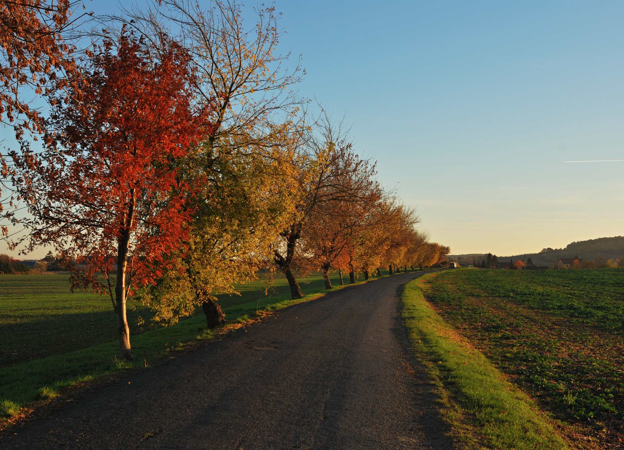 Nikon D60 + Nikon AF-S Nikkor 28mm F1.8G sample photo. An autumn road photography