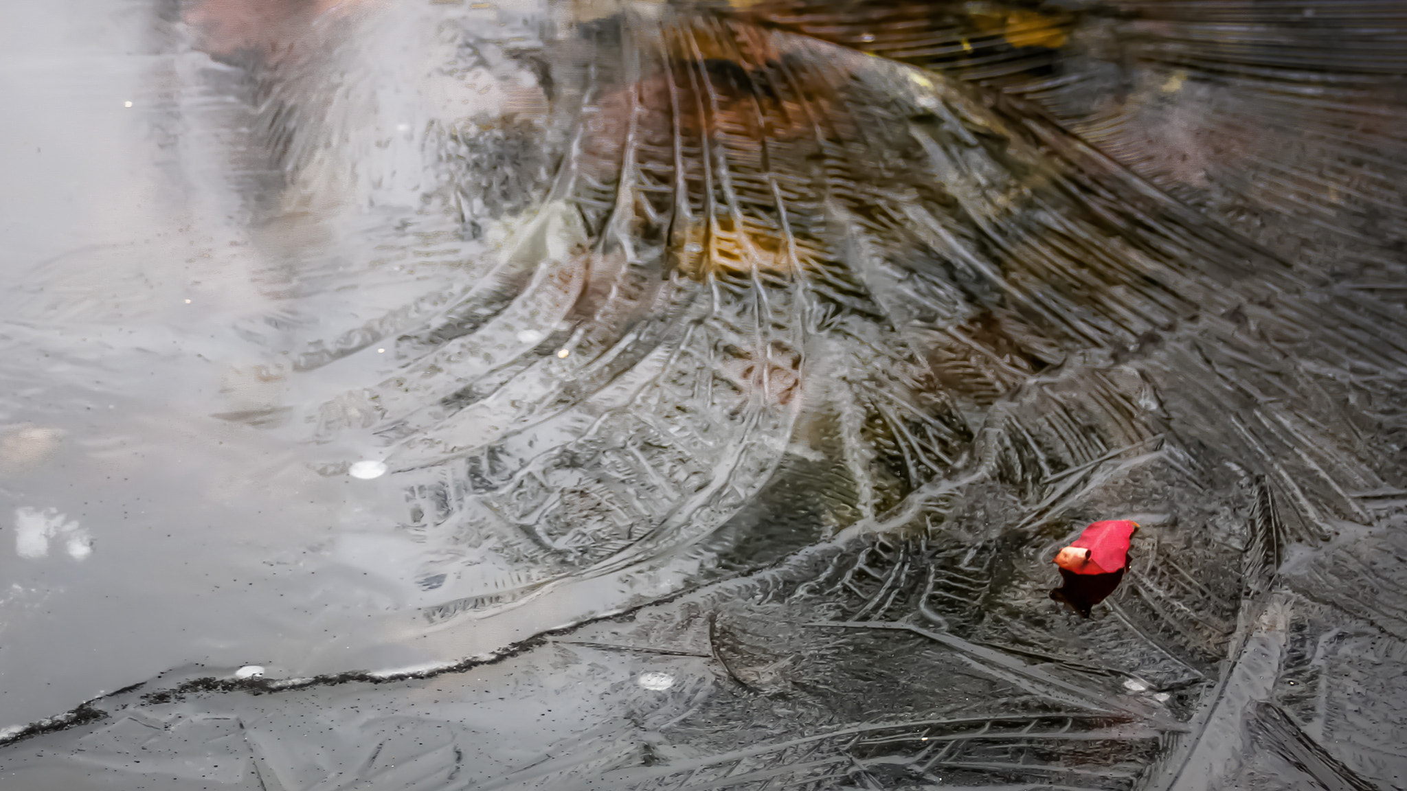 Sigma 18-250mm F3.5-6.3 DC OS HSM sample photo. First ice photography