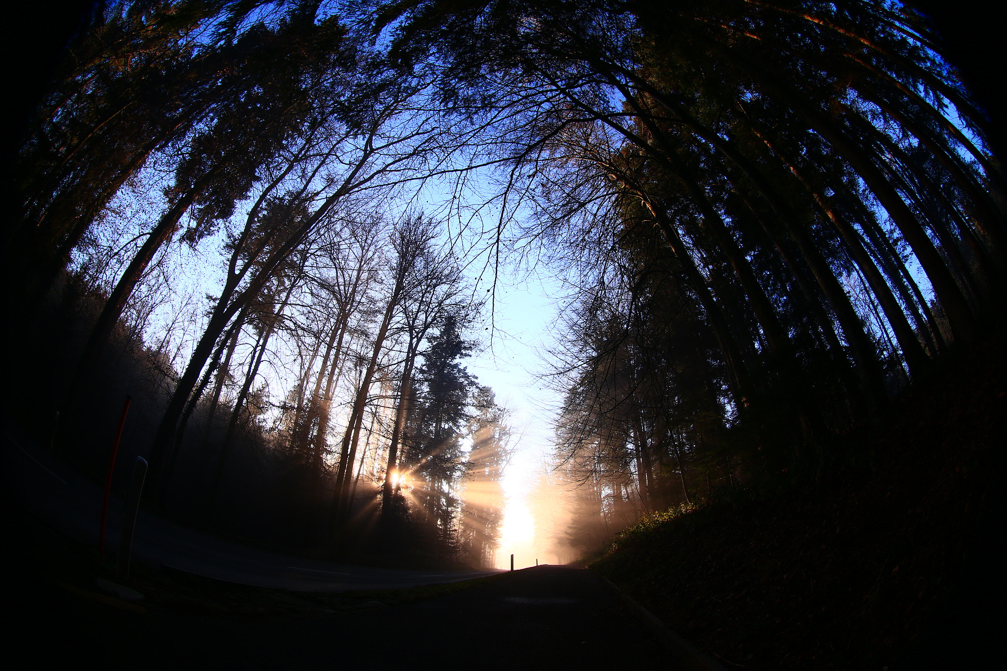 Canon EF 8-15mm F4L Fisheye USM sample photo. Wonderful world photography