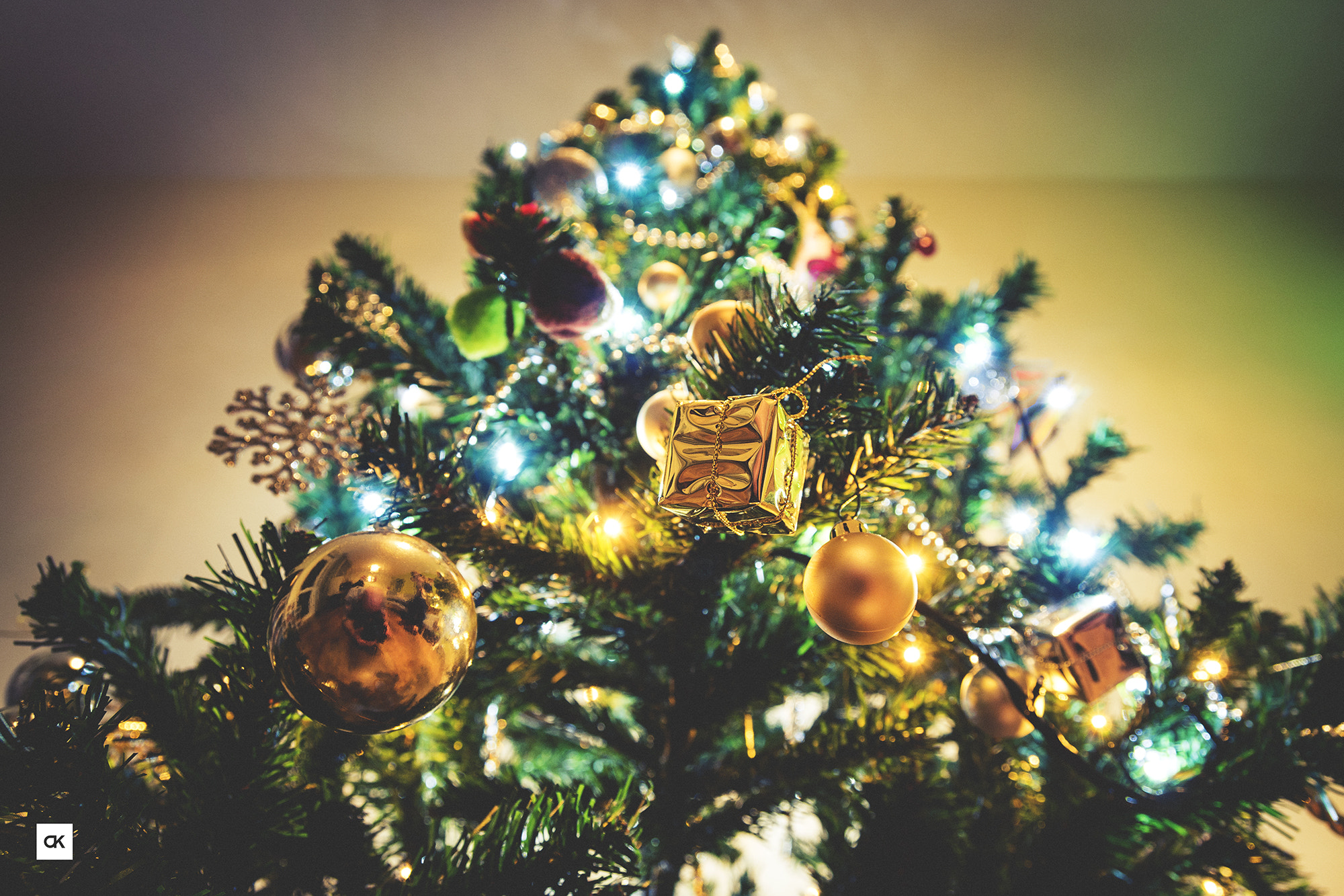 Sony ILCA-77M2 sample photo. Christmas tree photography