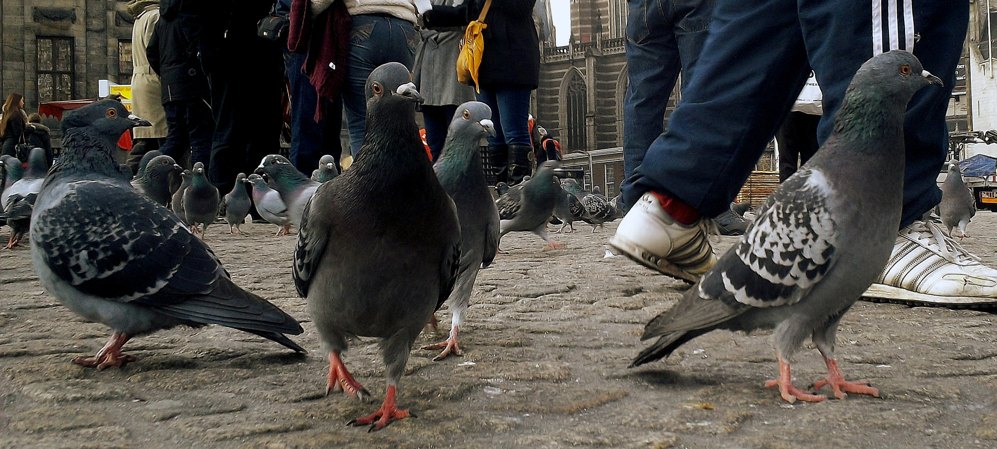 Kodak EASYSHARE SPORT CAMERA, C123 sample photo. Amsterdam12/2013 photography