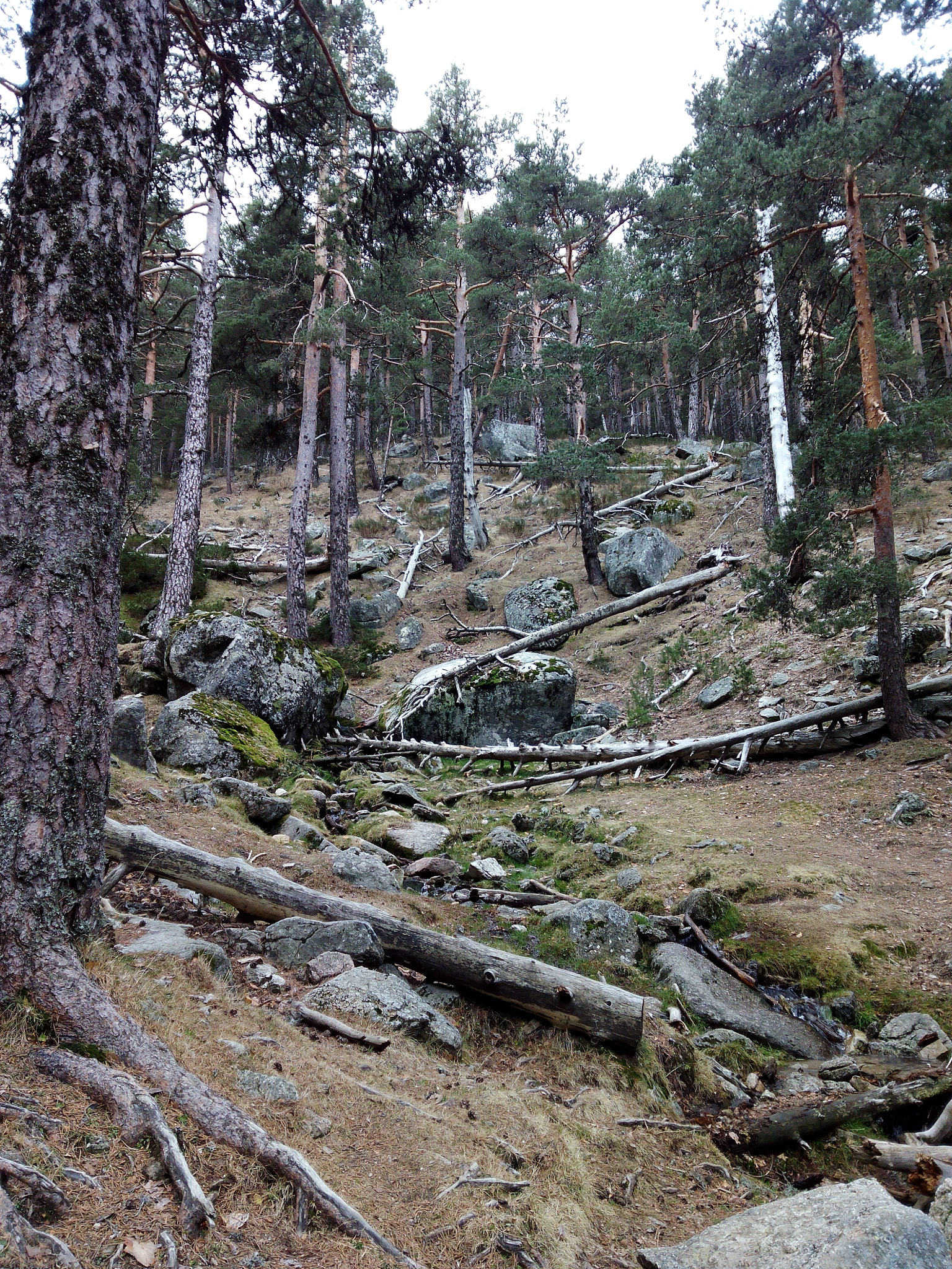 bq Aquaris E5 FHD sample photo. Navacerrada photography
