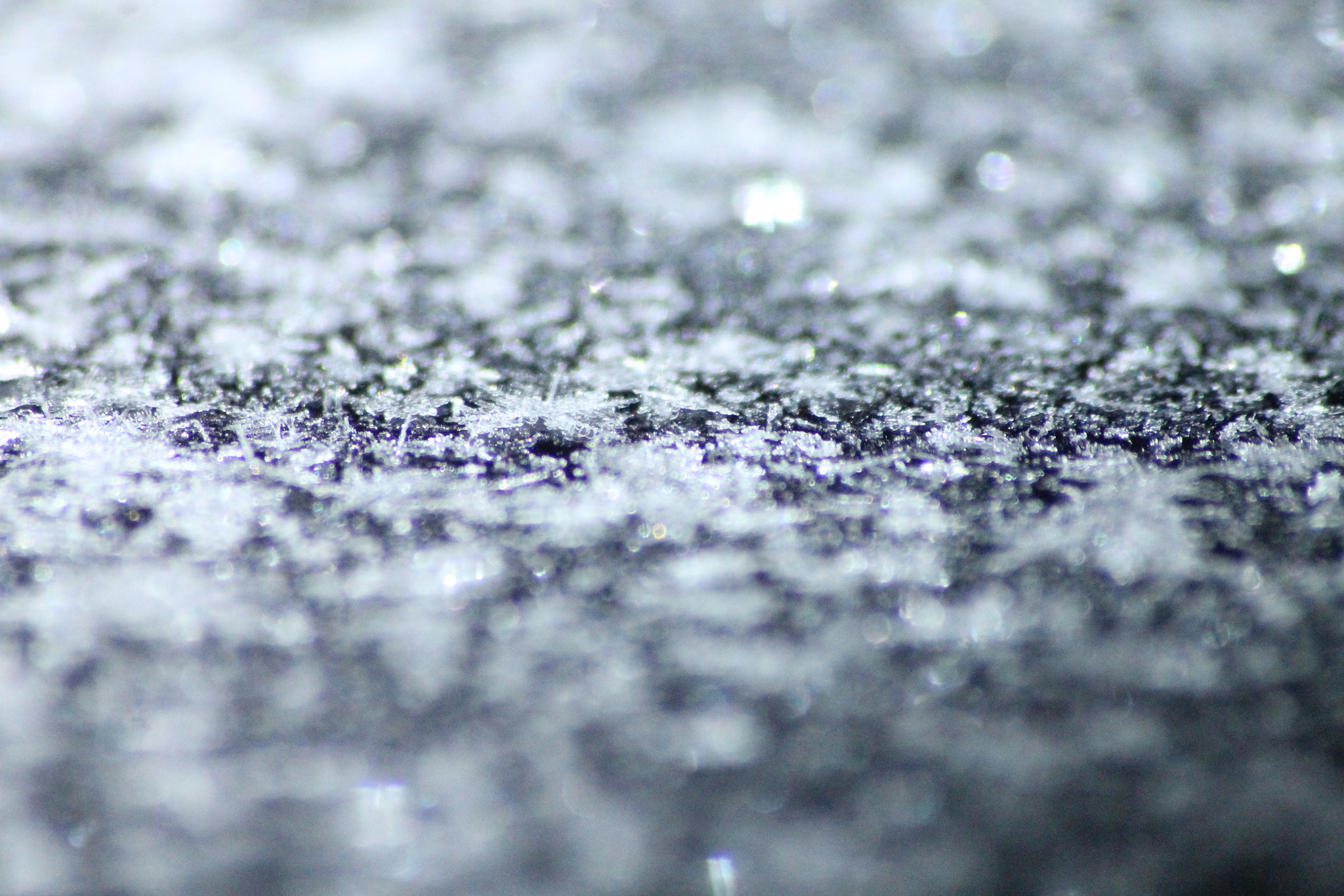 Sigma 70-300mm F4-5.6 APO DG Macro sample photo. Frost photography