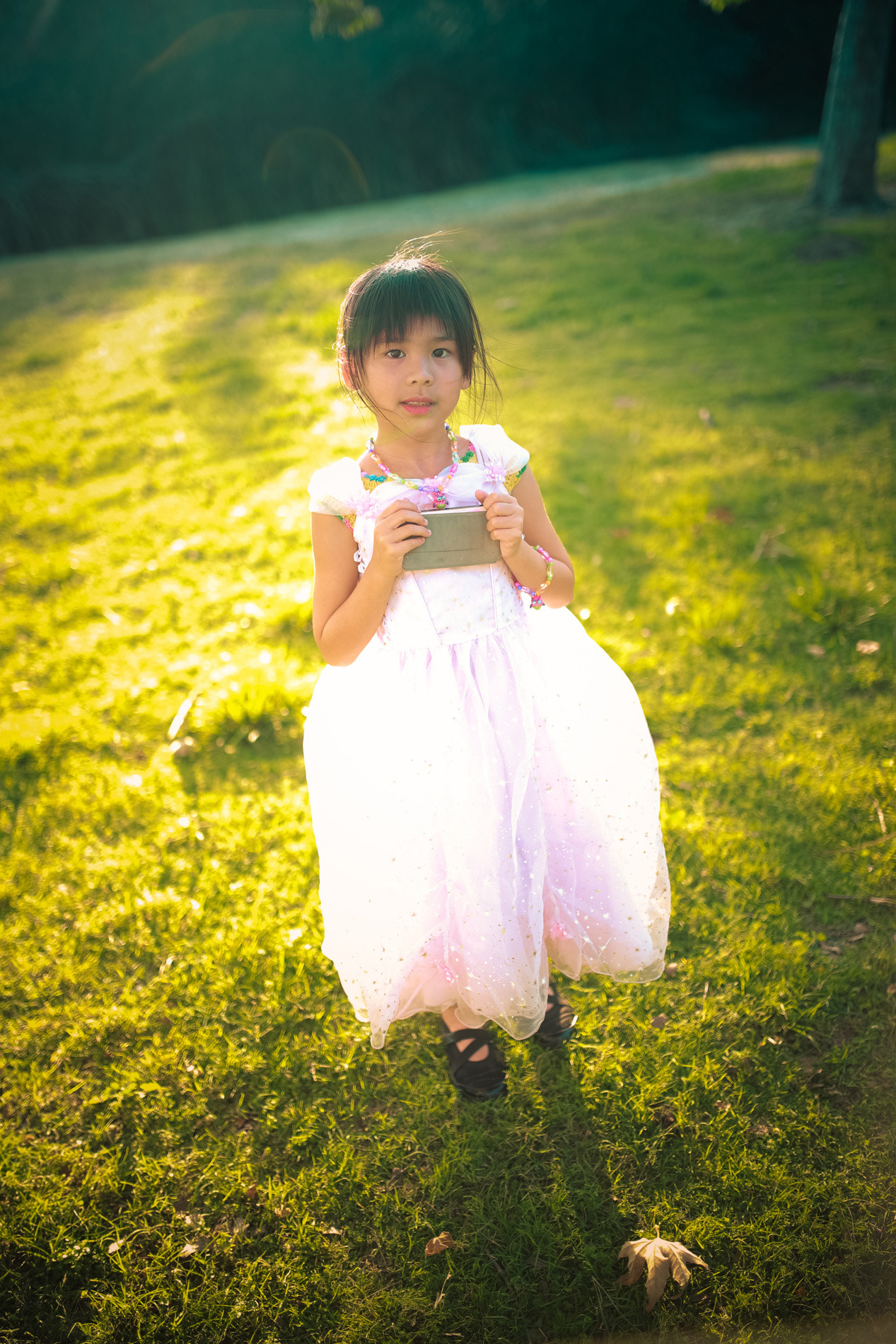 Sigma 35mm F1.4 DG HSM Art sample photo. Ah3q1497.jpg photography