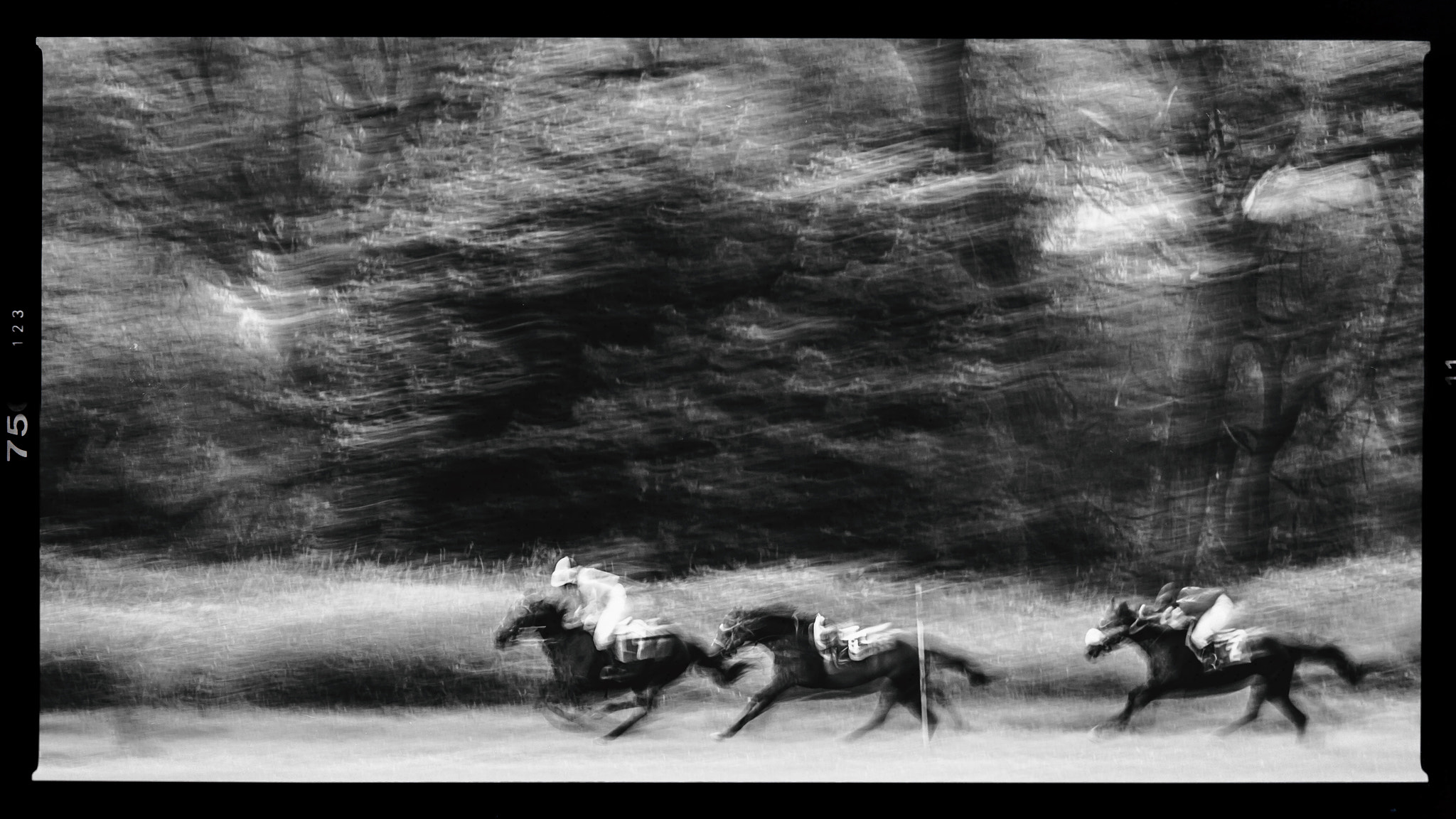 Olympus E-30 sample photo. Course de chevaux photography