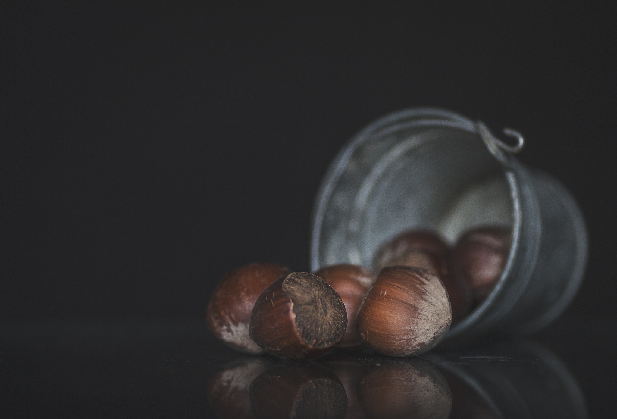 Tamron SP AF 90mm F2.8 Di Macro sample photo. Nuts photography
