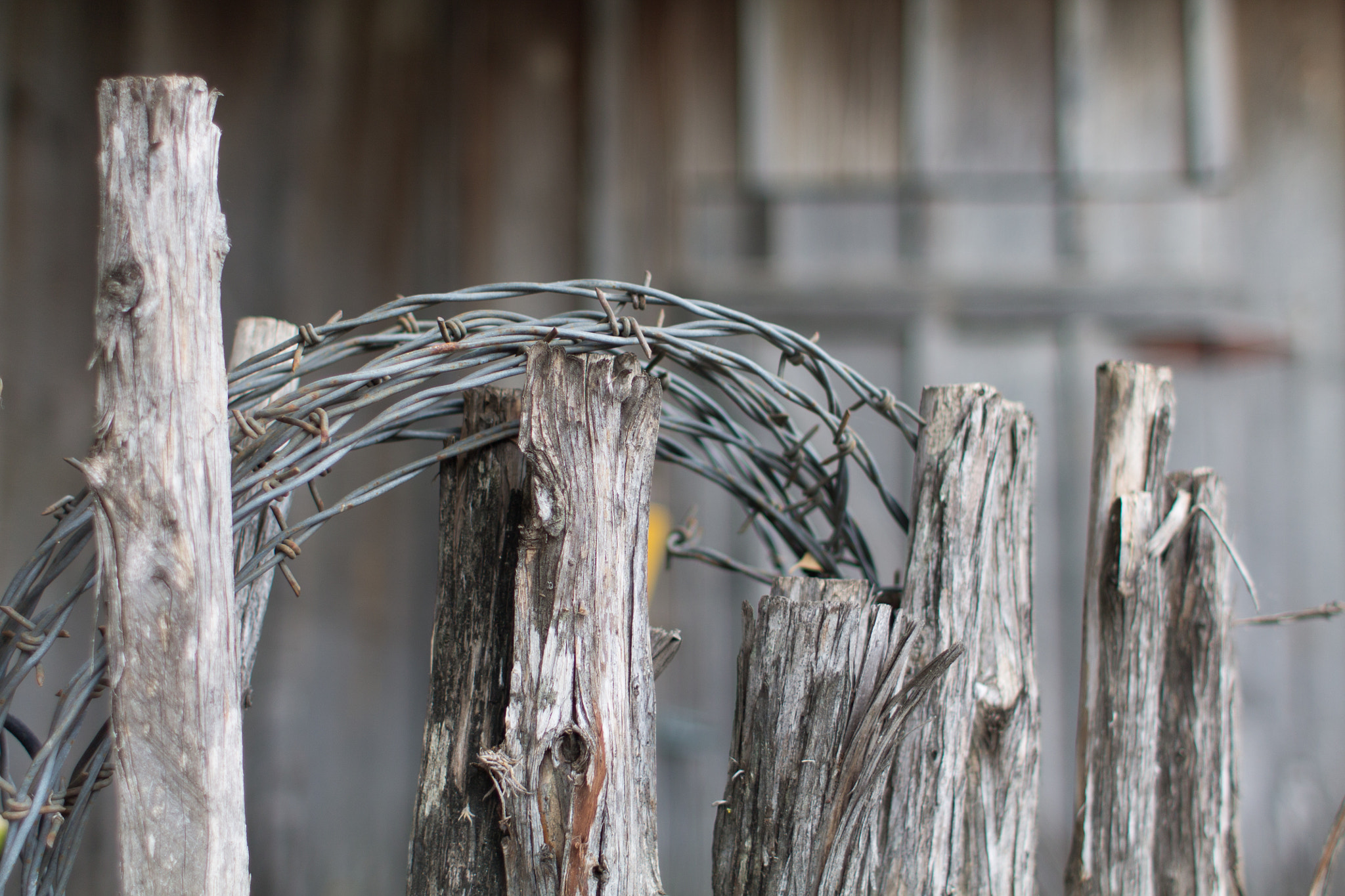 Canon EF 28mm F1.8 USM sample photo. Wire and wood photography